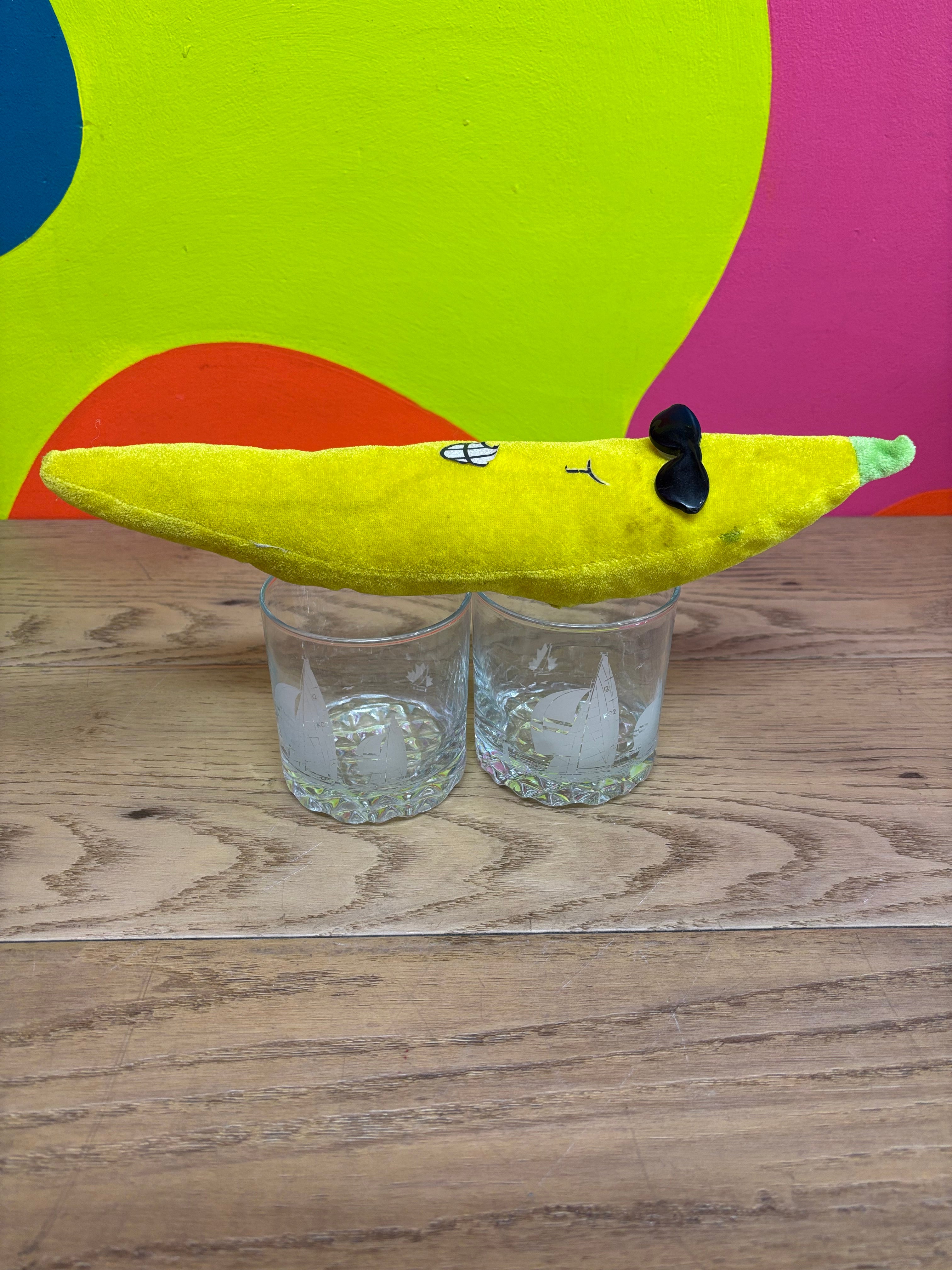 (2) Nautical Themed Glasses