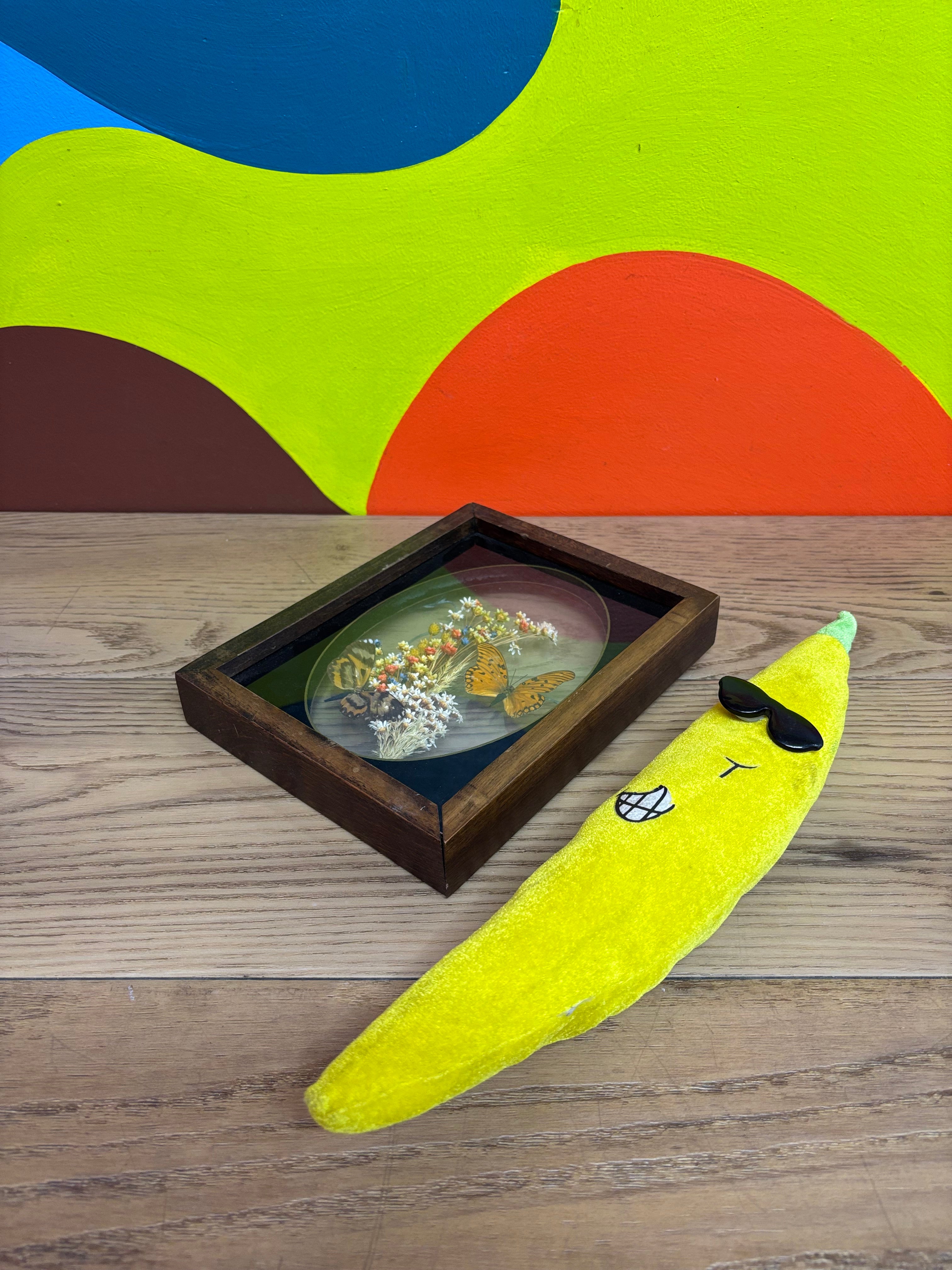 Framed Butterfly Art