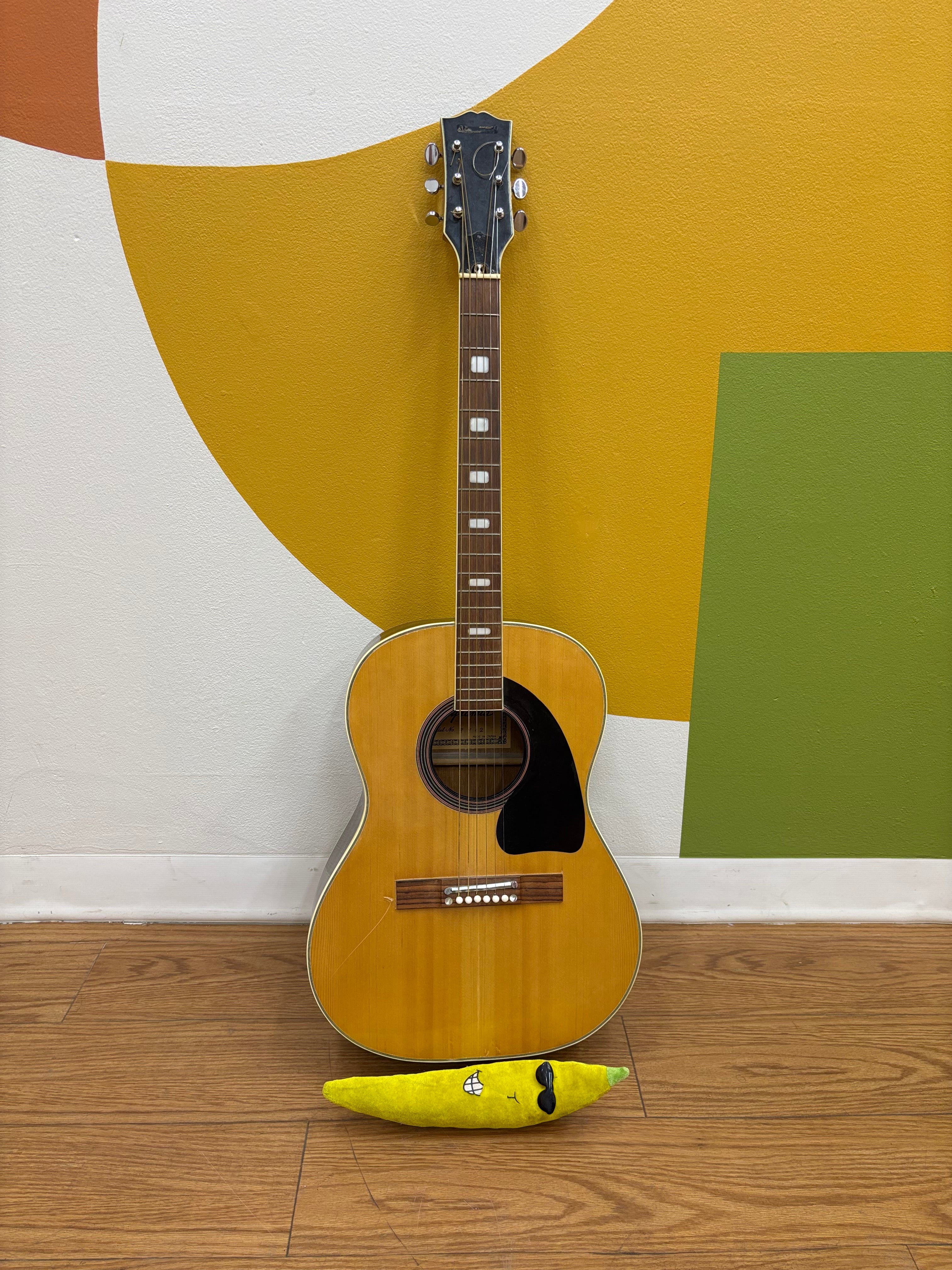 Pyramid Acoustic Guitar (Model - F742)