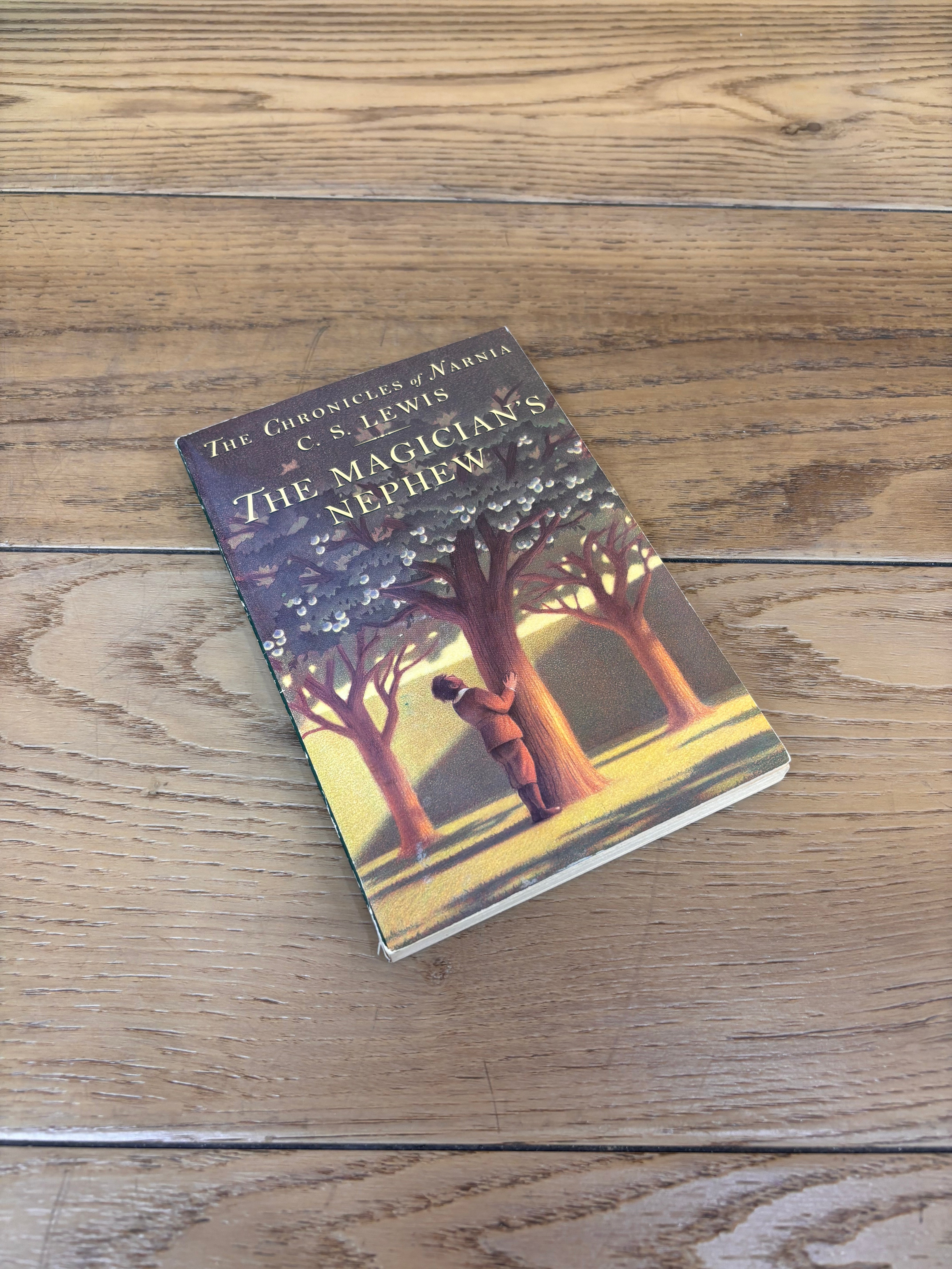 The Chronicles of Narnia Paperback Box Set 1994