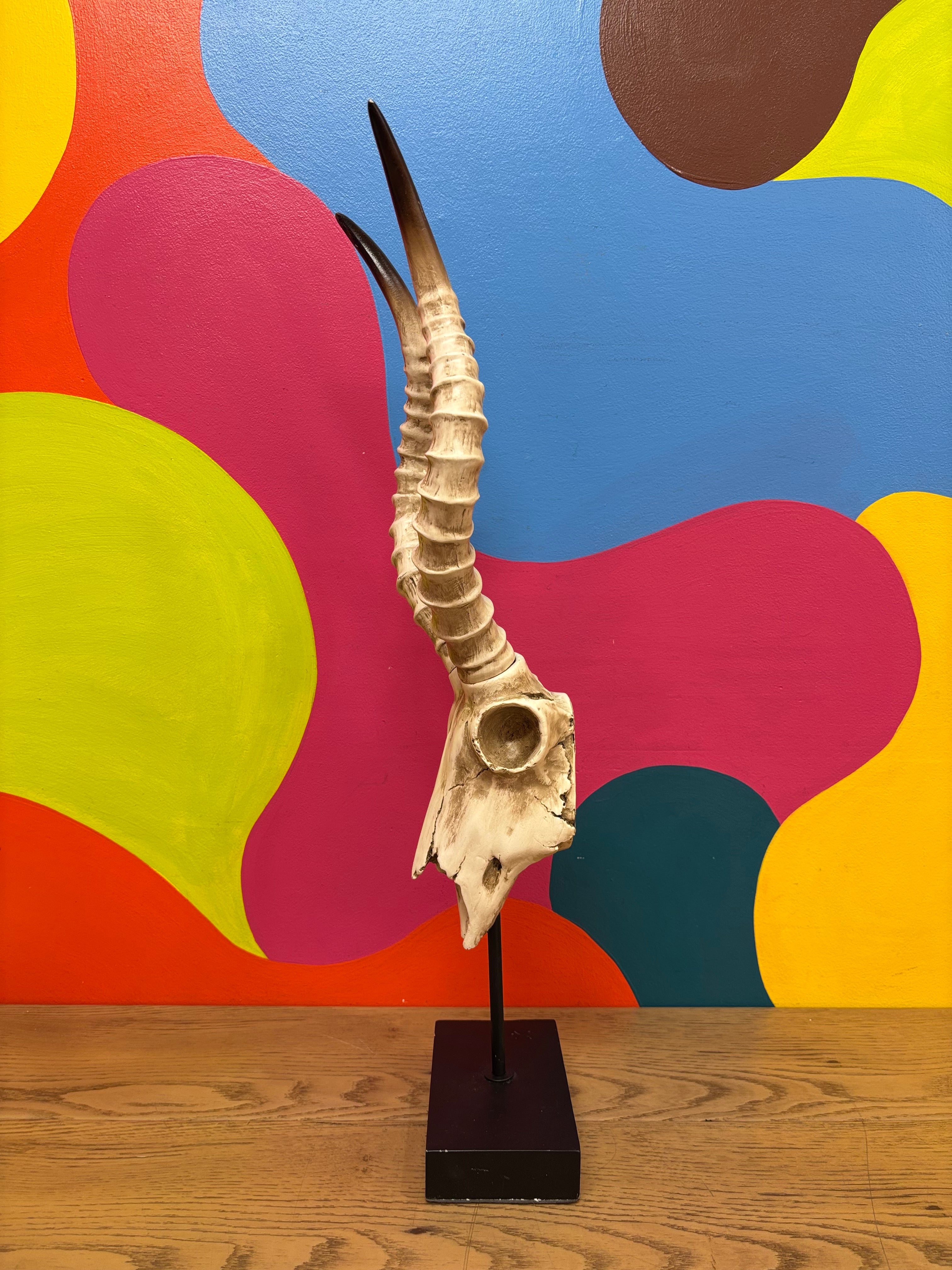 Long Horn Skull Decor