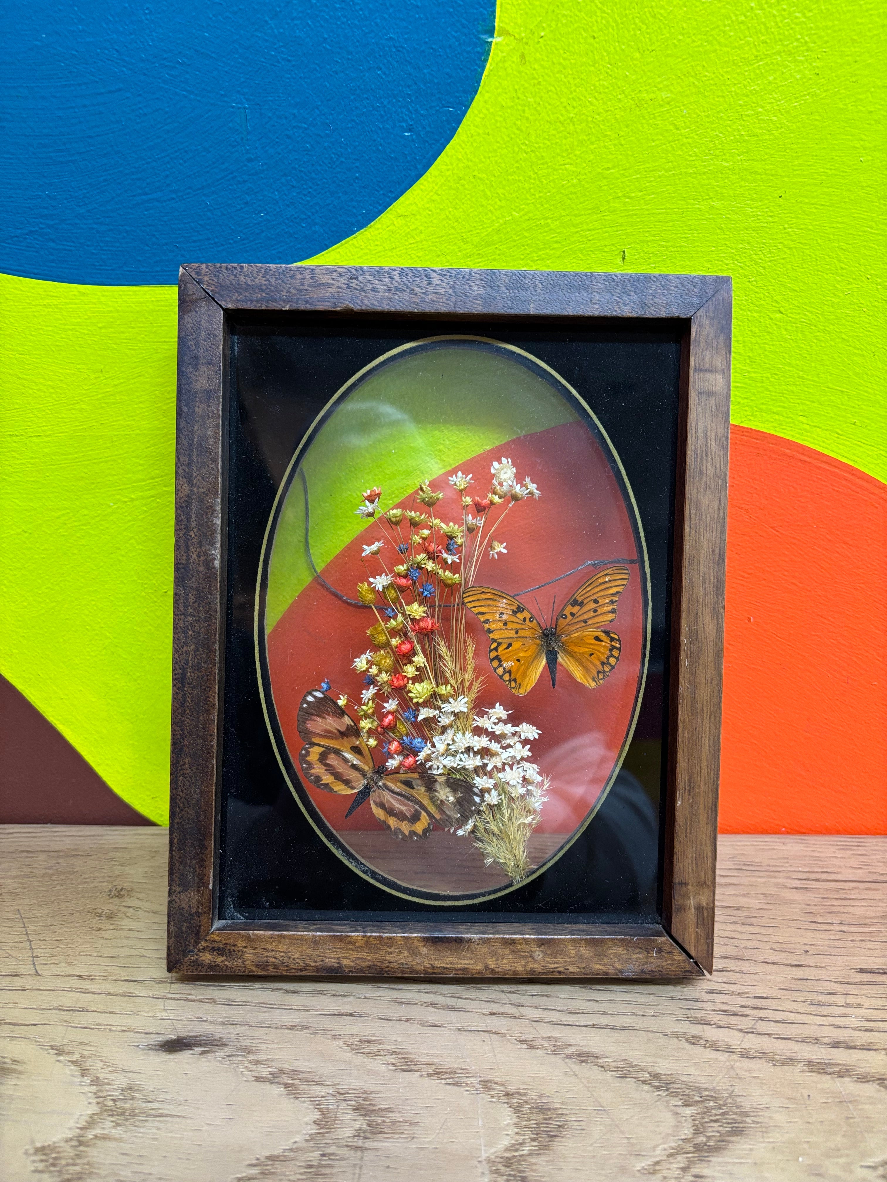 Framed Butterfly Art