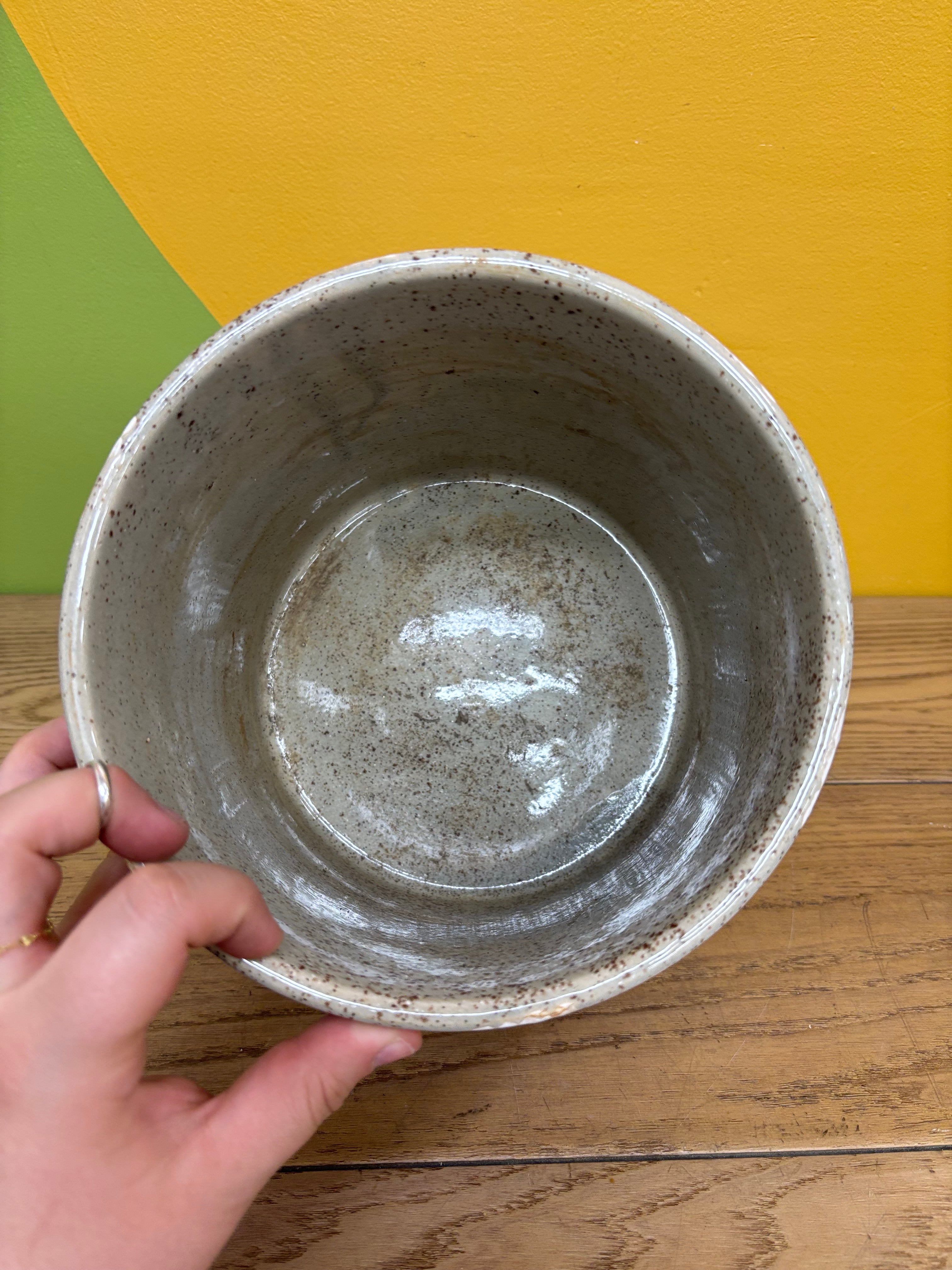 Speckled Ceramic Plant Pot