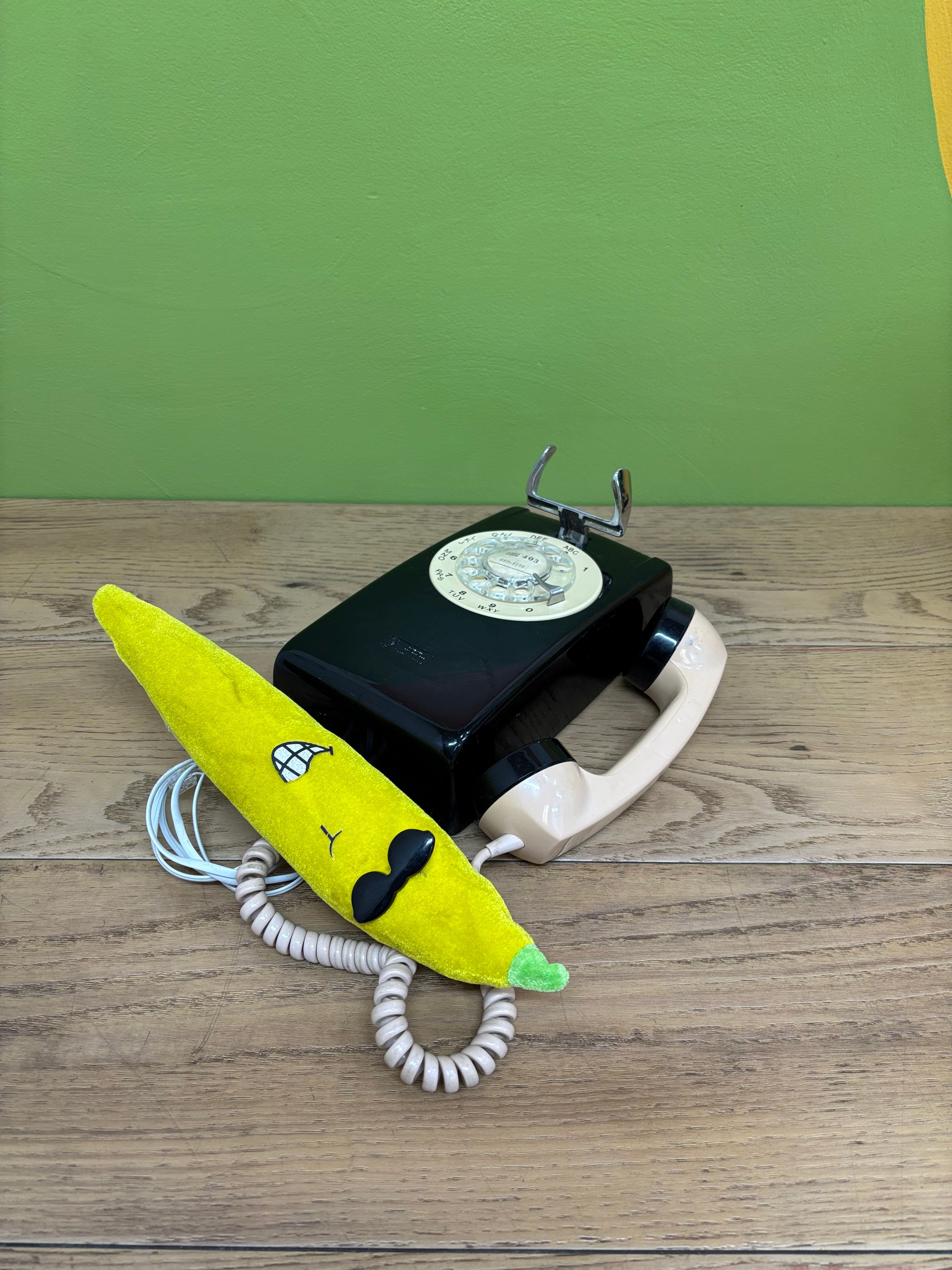 Wall Mounted Telephone