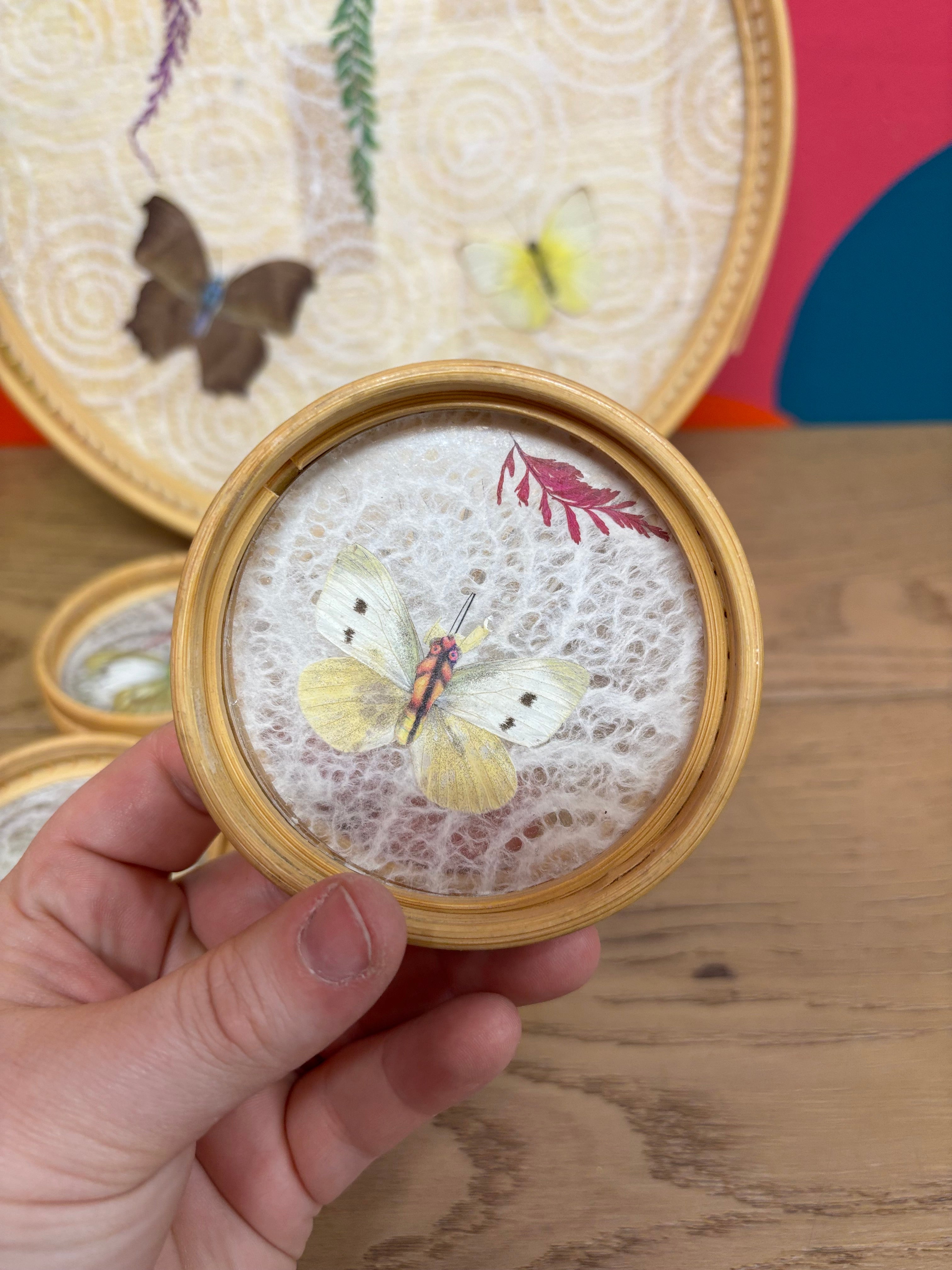 Pressed Butterfly Tray & Coasters