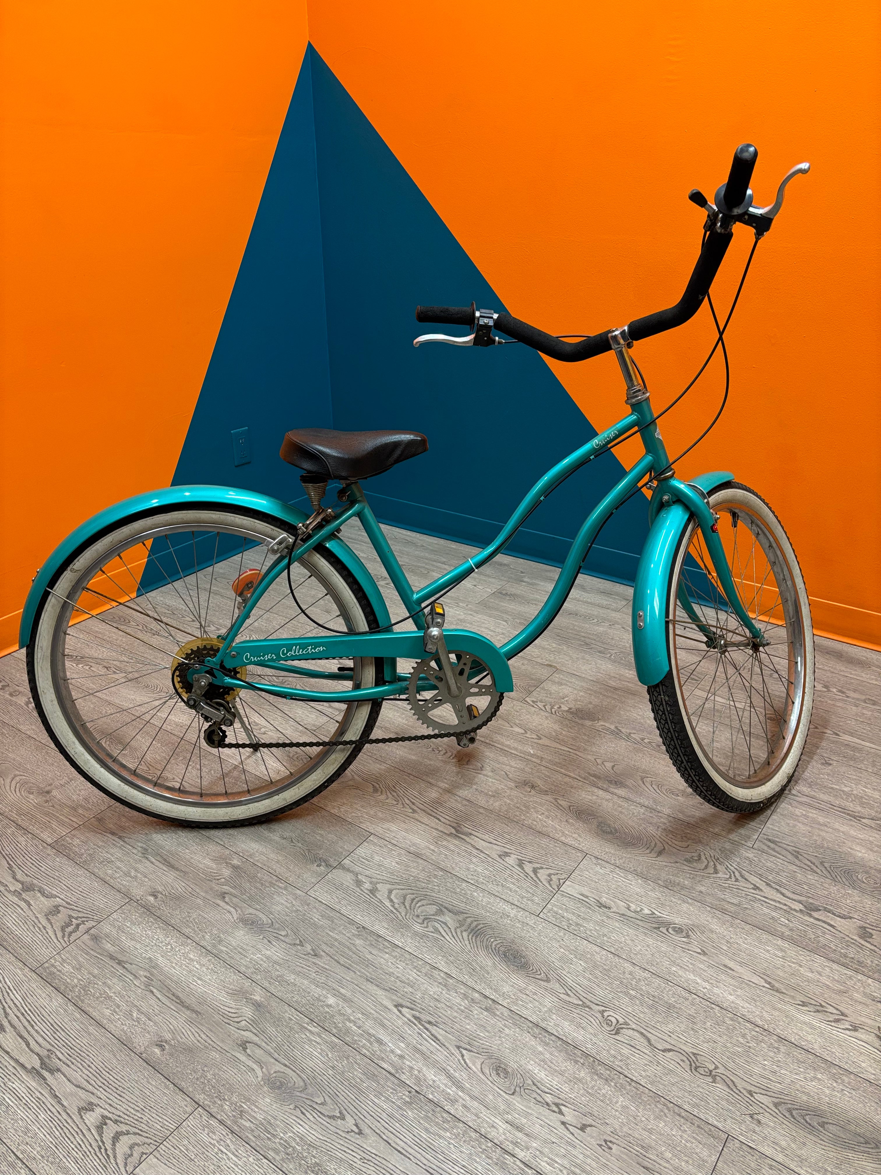 Turquoise Cruiser Collection Pro Bicycle