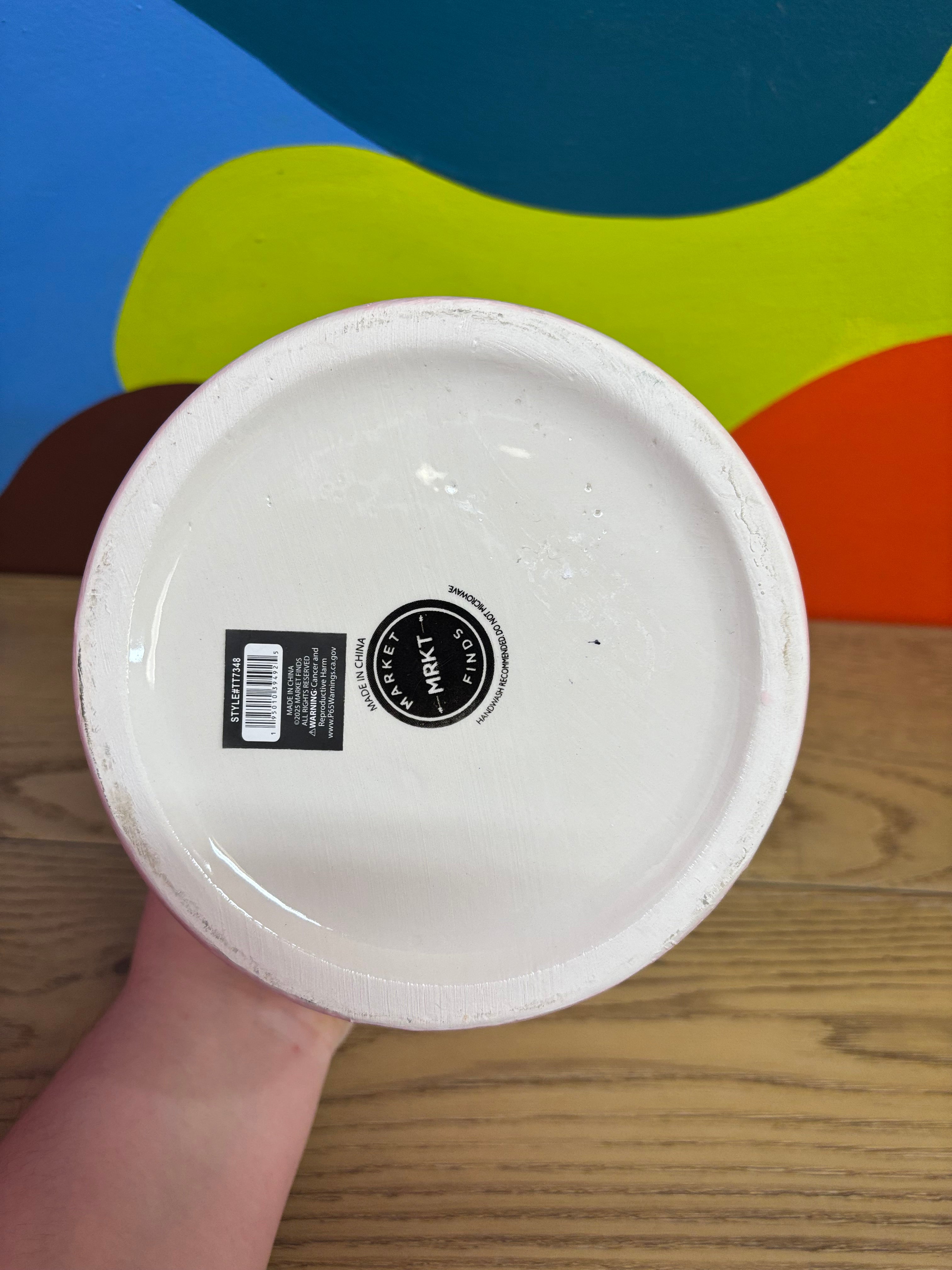 Pink Ghost Plant Pot (2 available)