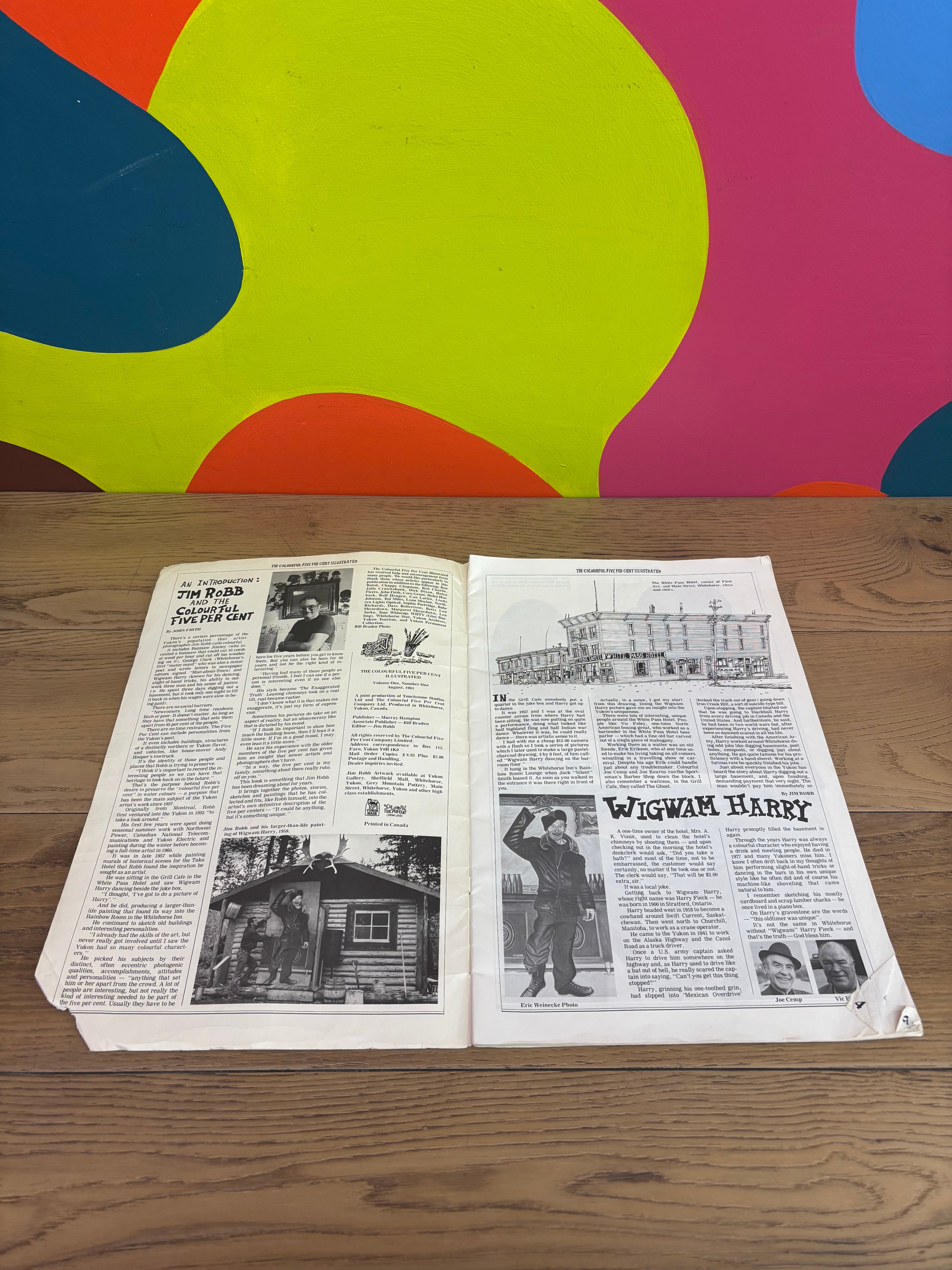 The Colourful Five Percent Book Vol 1