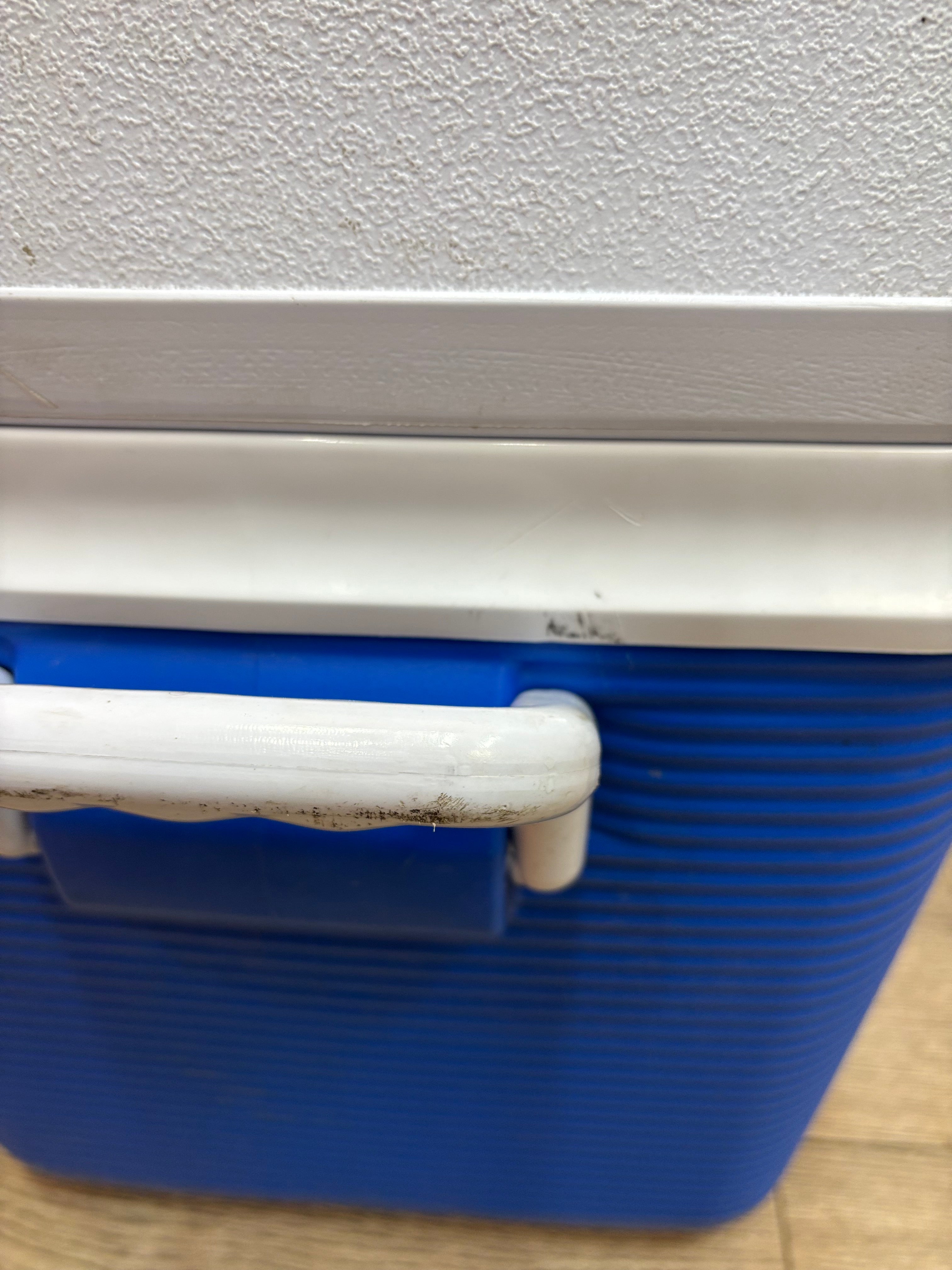 Blue & White 195L Rubbermaid Cooler