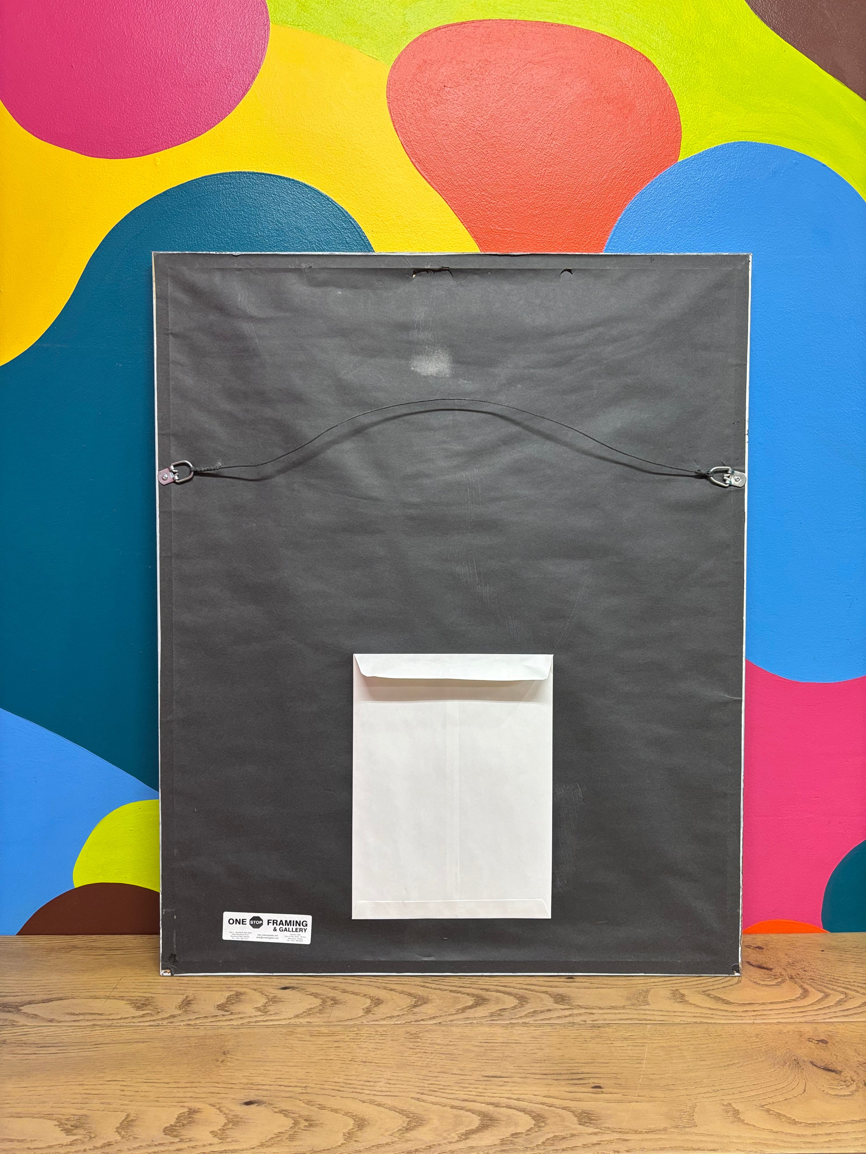 Framed Spirit of the Artic Print by Luke Raffin