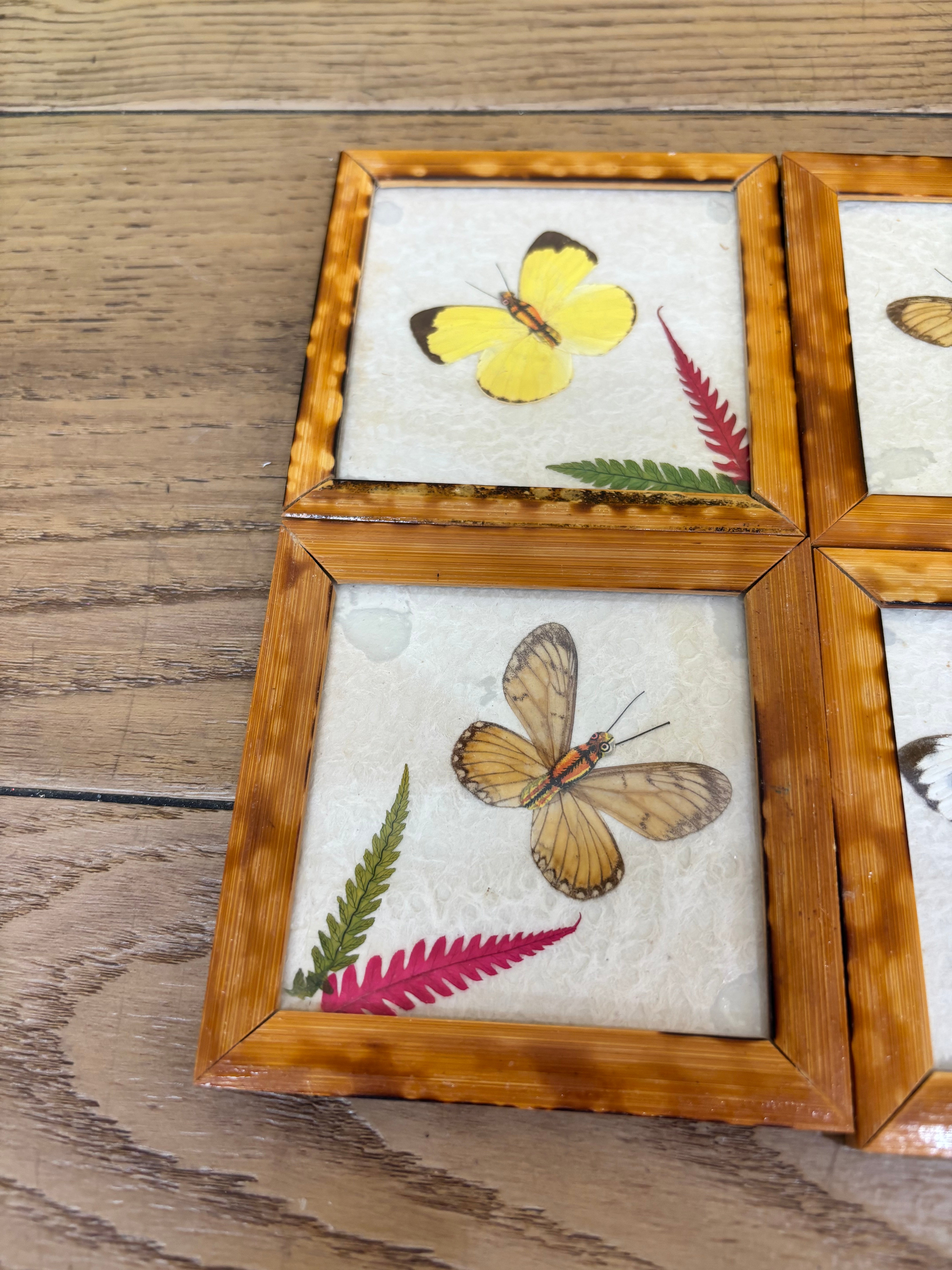 Set of Wood Butterfly Coasters