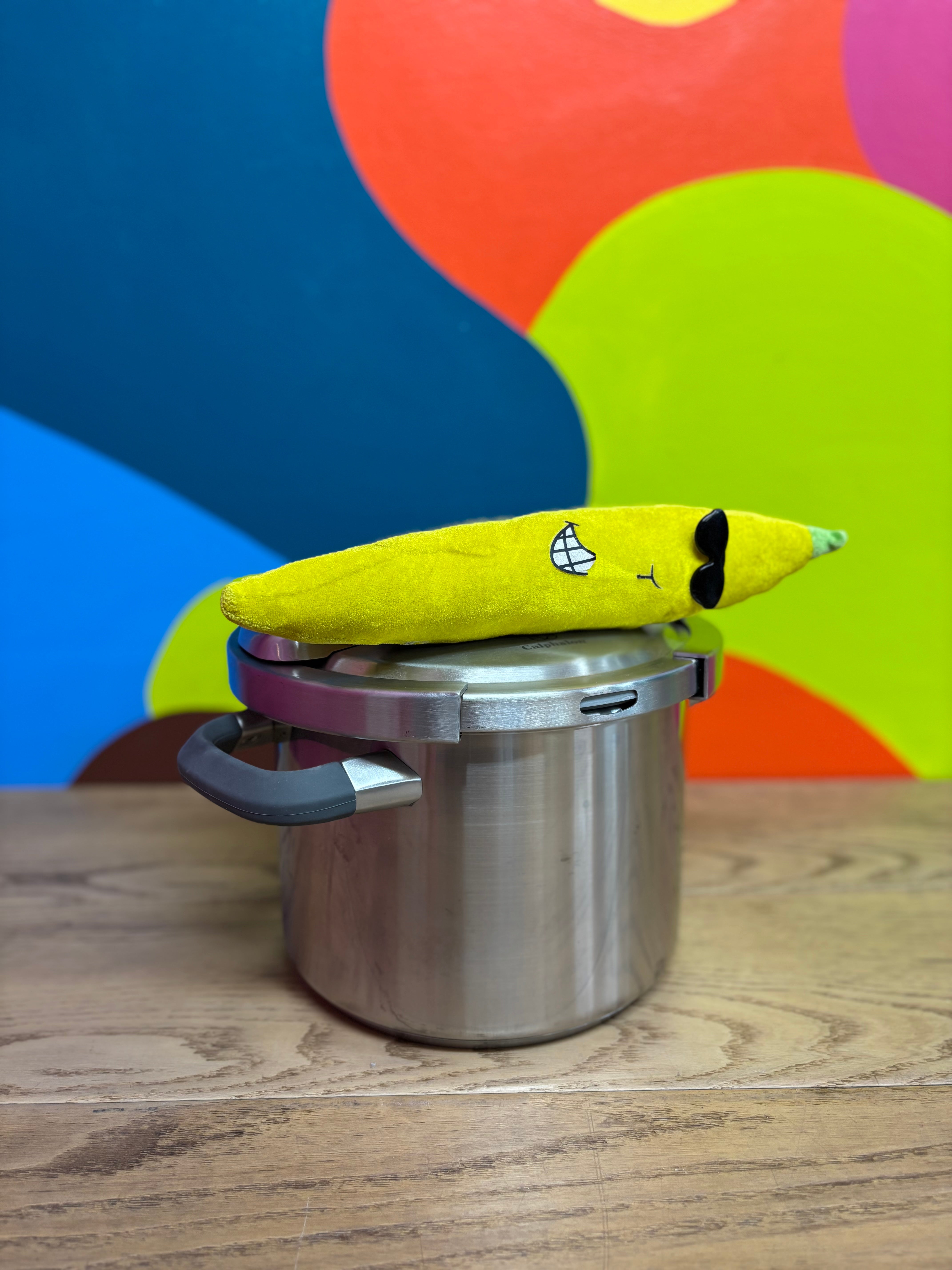 Stainless Steel Pressure Cooker