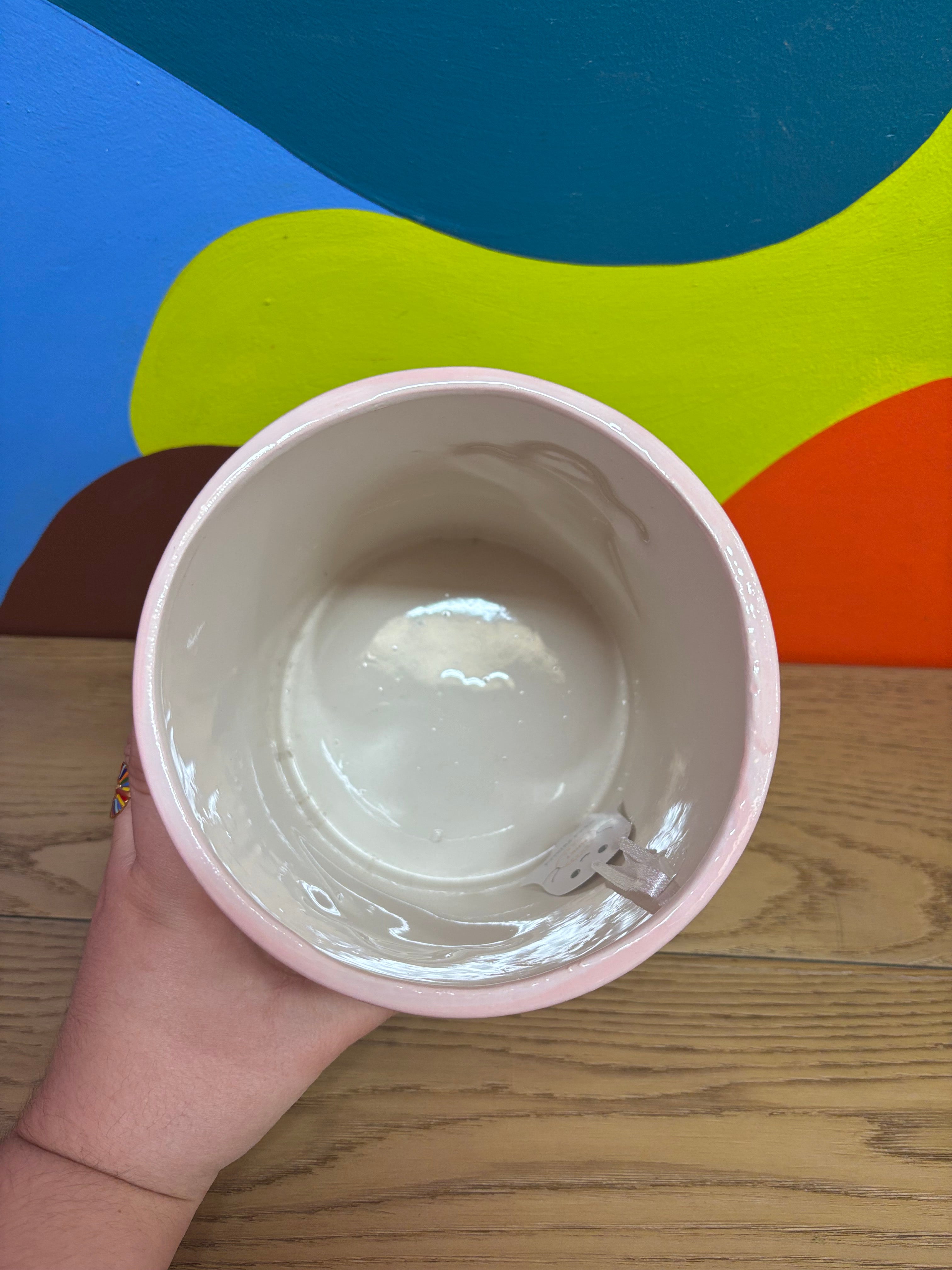 Pink Ghost Plant Pot (2 available)