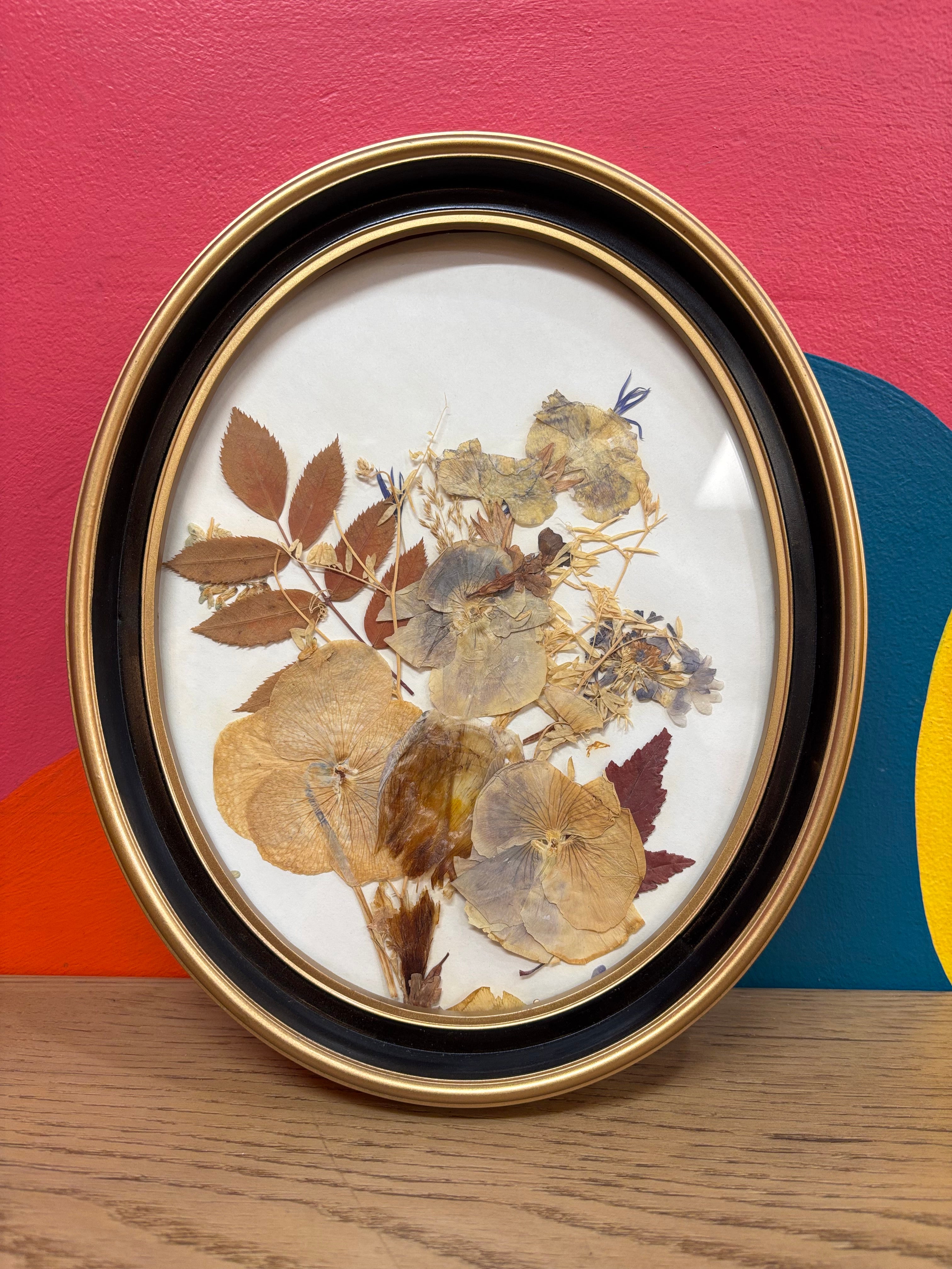 Framed Pressed Flowers #1