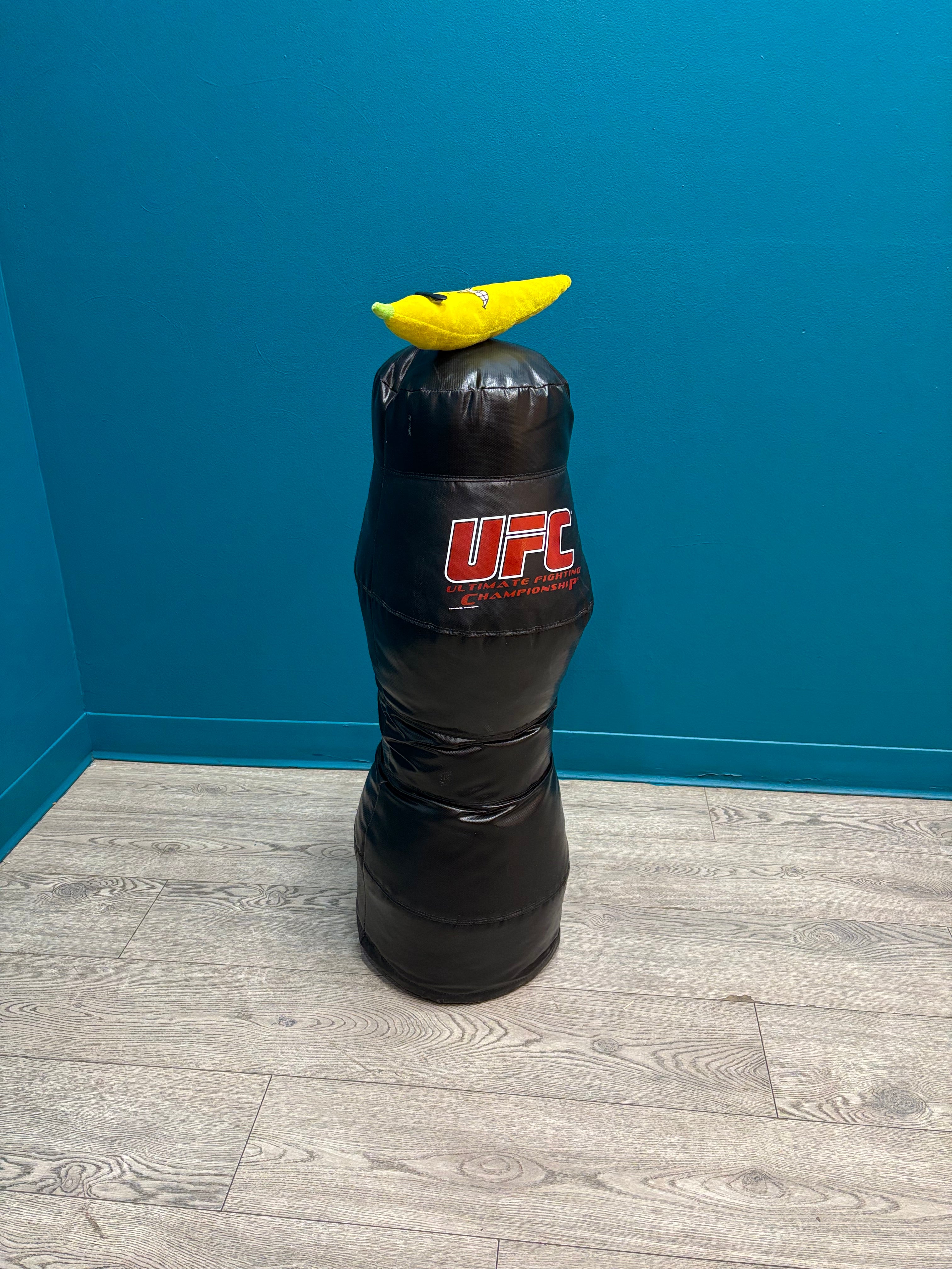 UFC Grappling Dummy