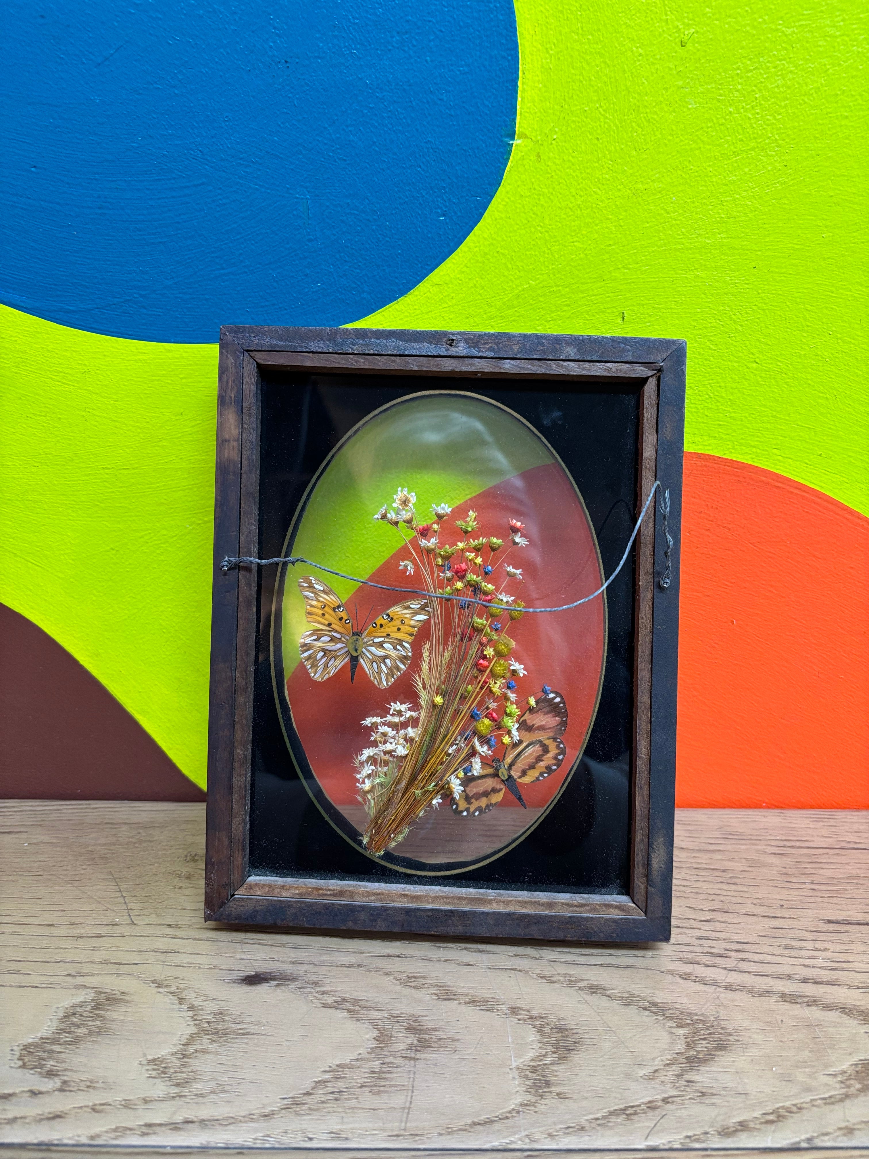 Framed Butterfly Art