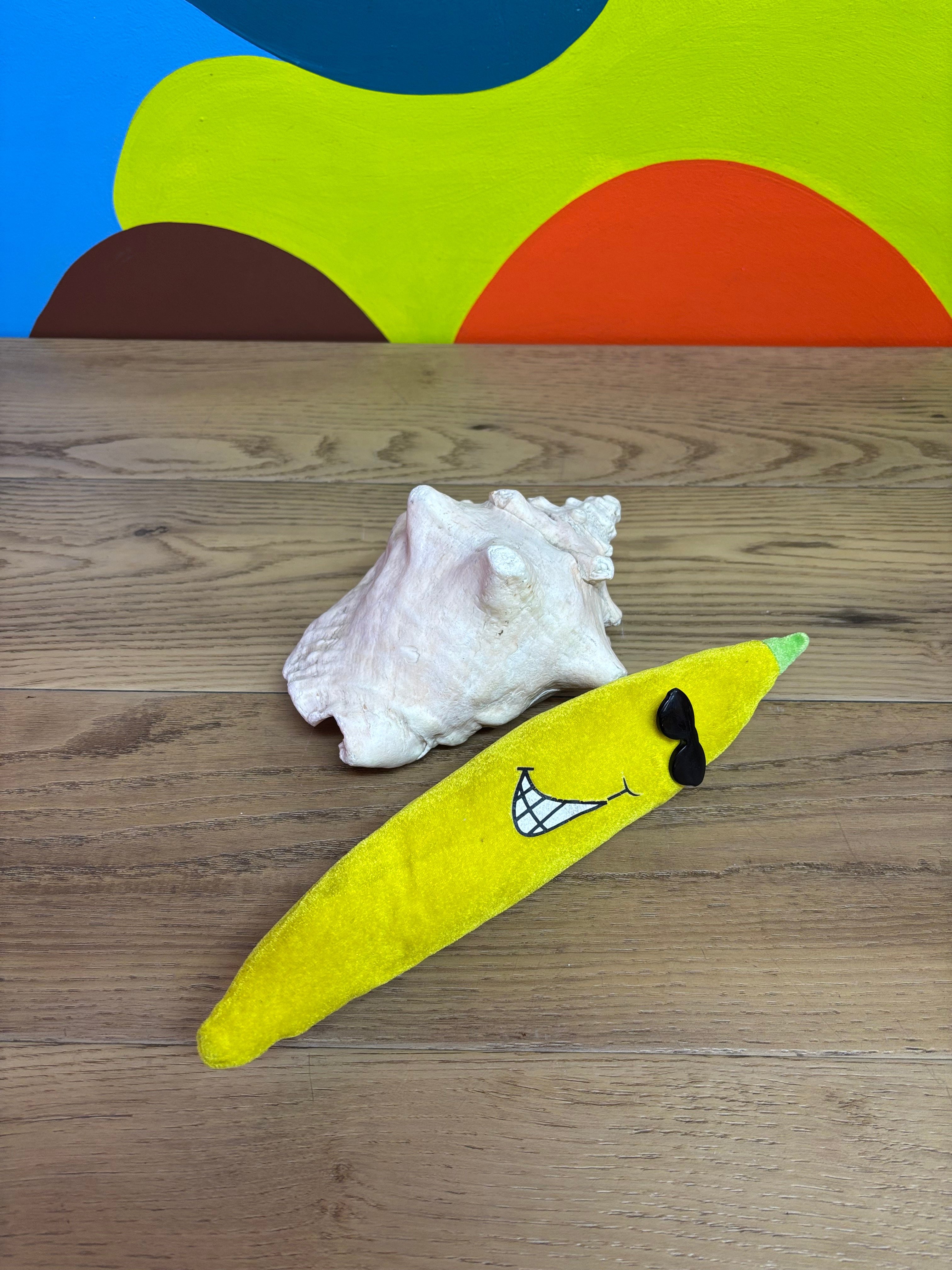 Large Sized Conch Shell