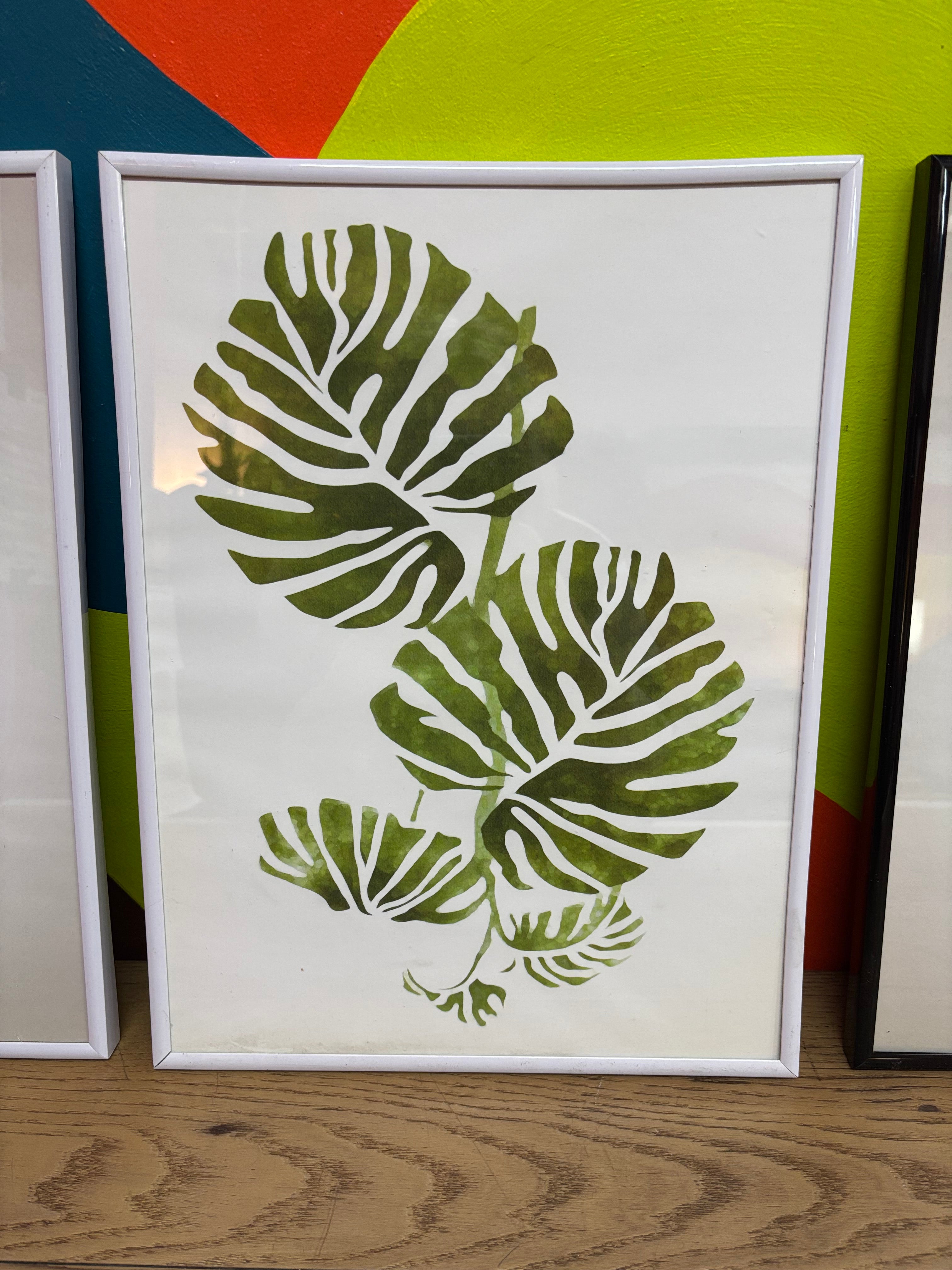 (3) Framed Plant Prints