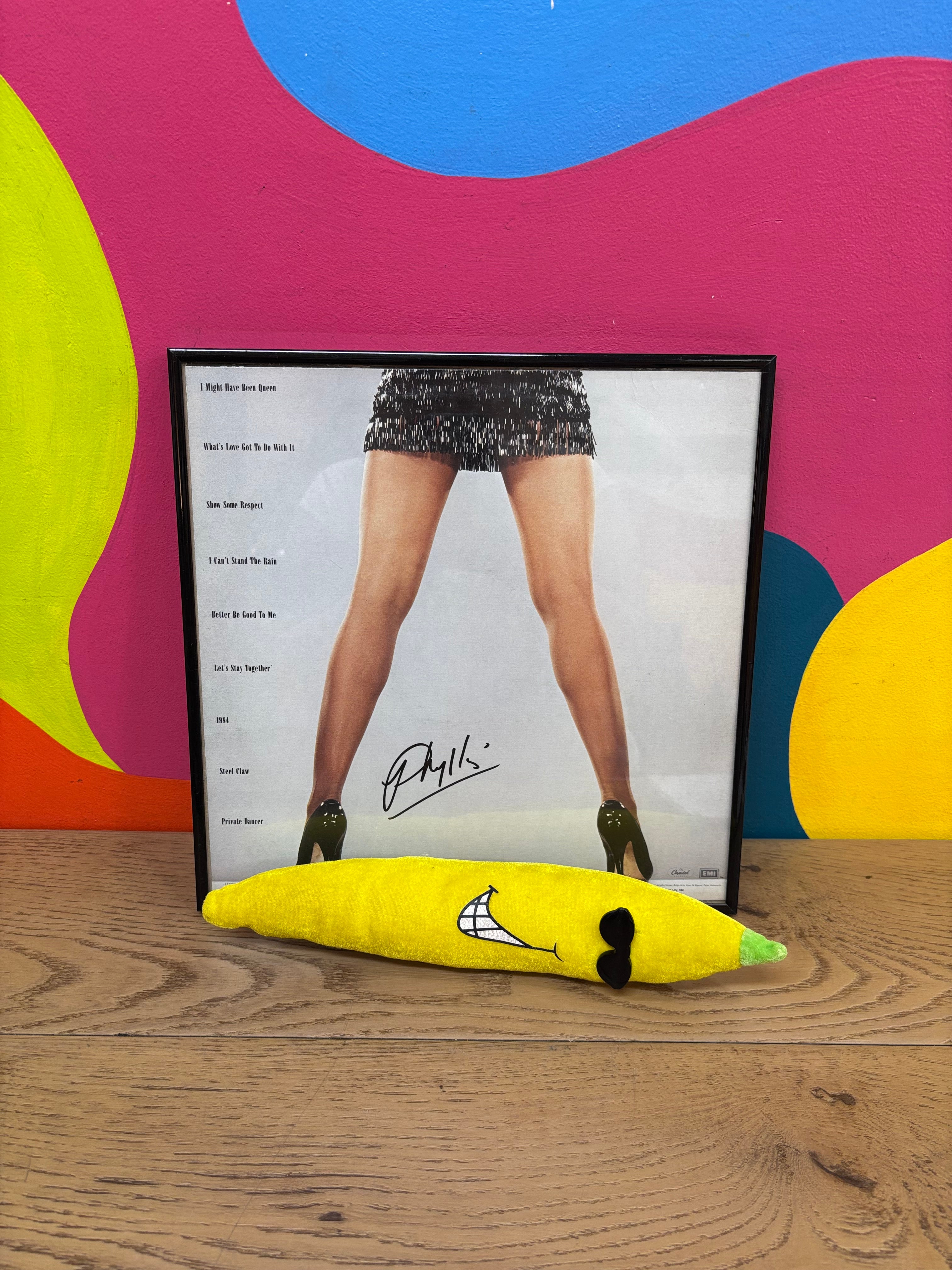 Framed Tina Turner Private Dancer Back Album Cover