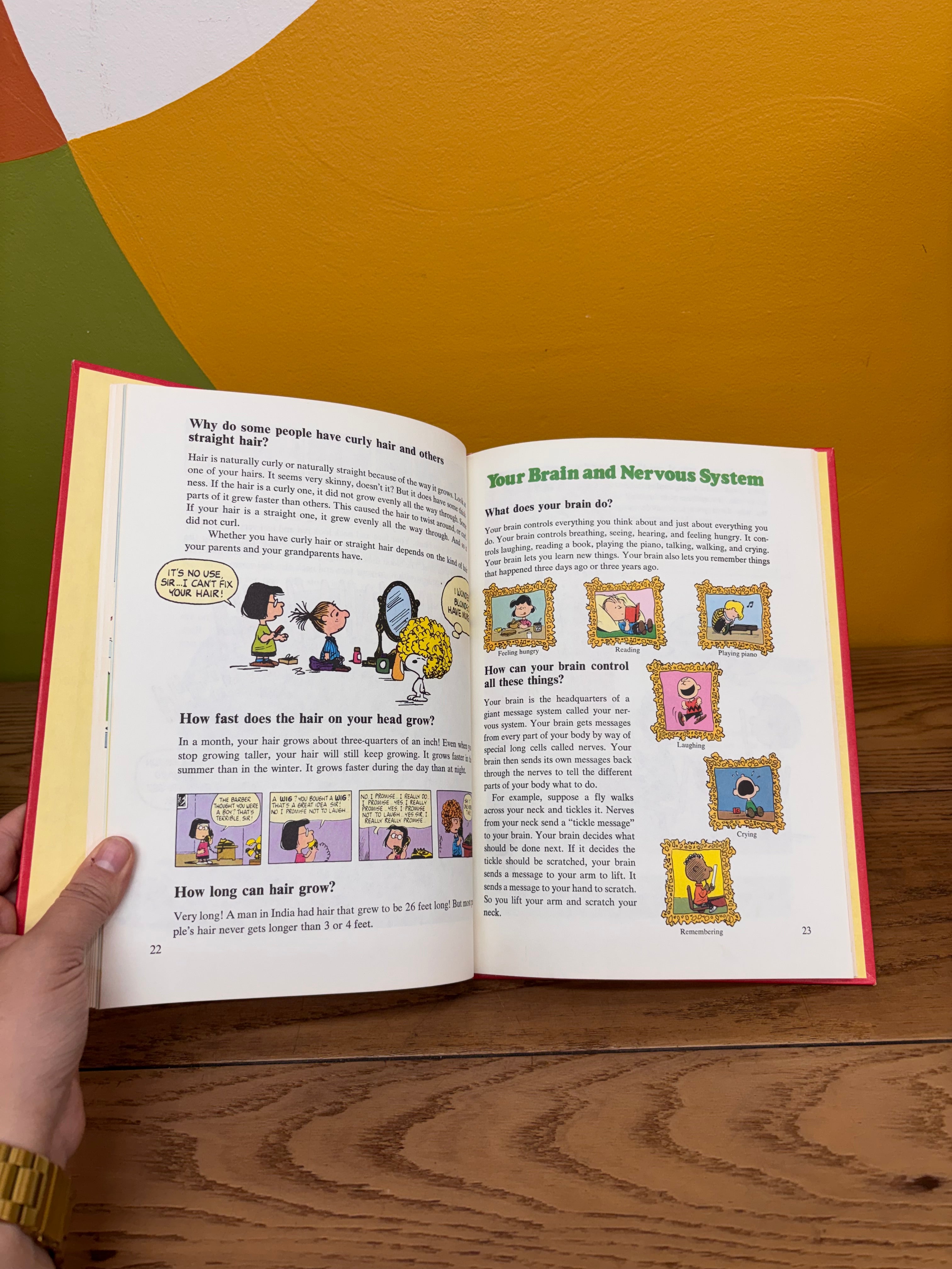 Charlie Brown's 'Cyclopedia 15-Volume Book Set