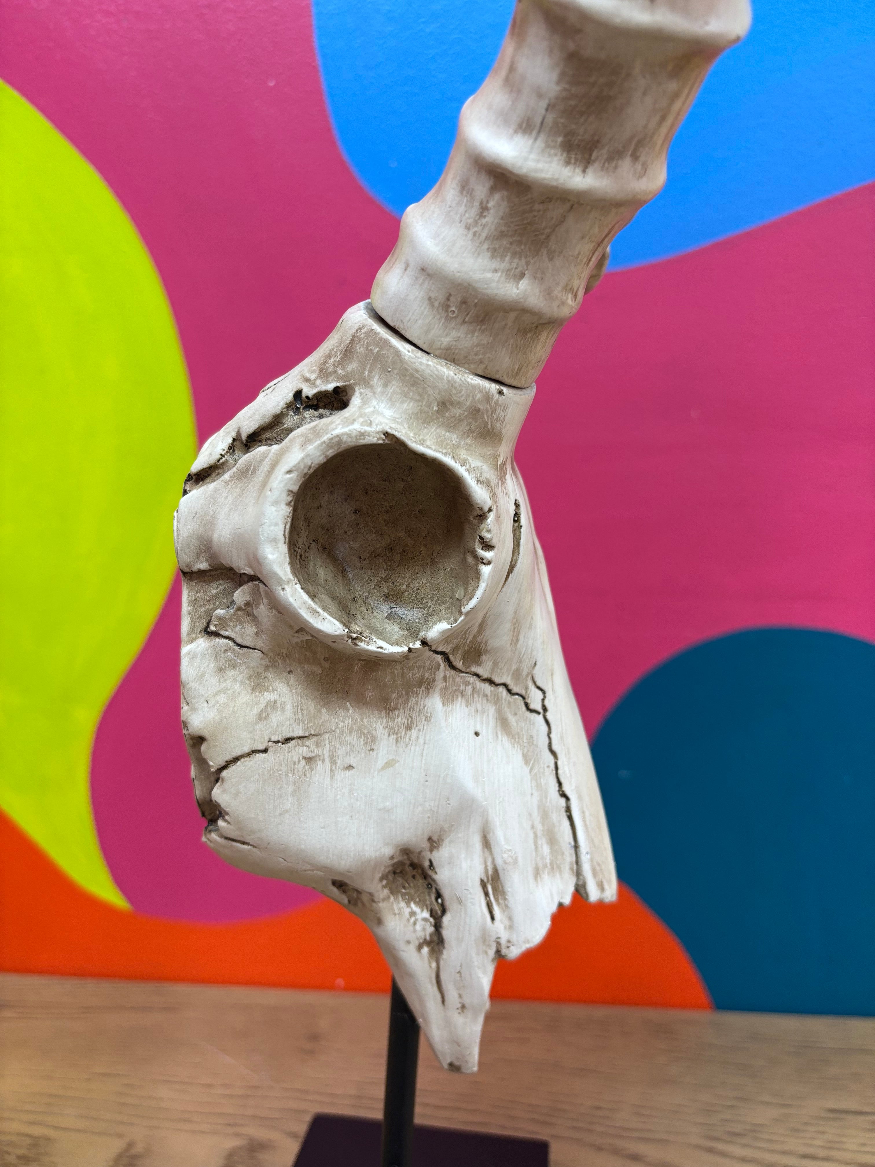 Long Horn Skull Decor