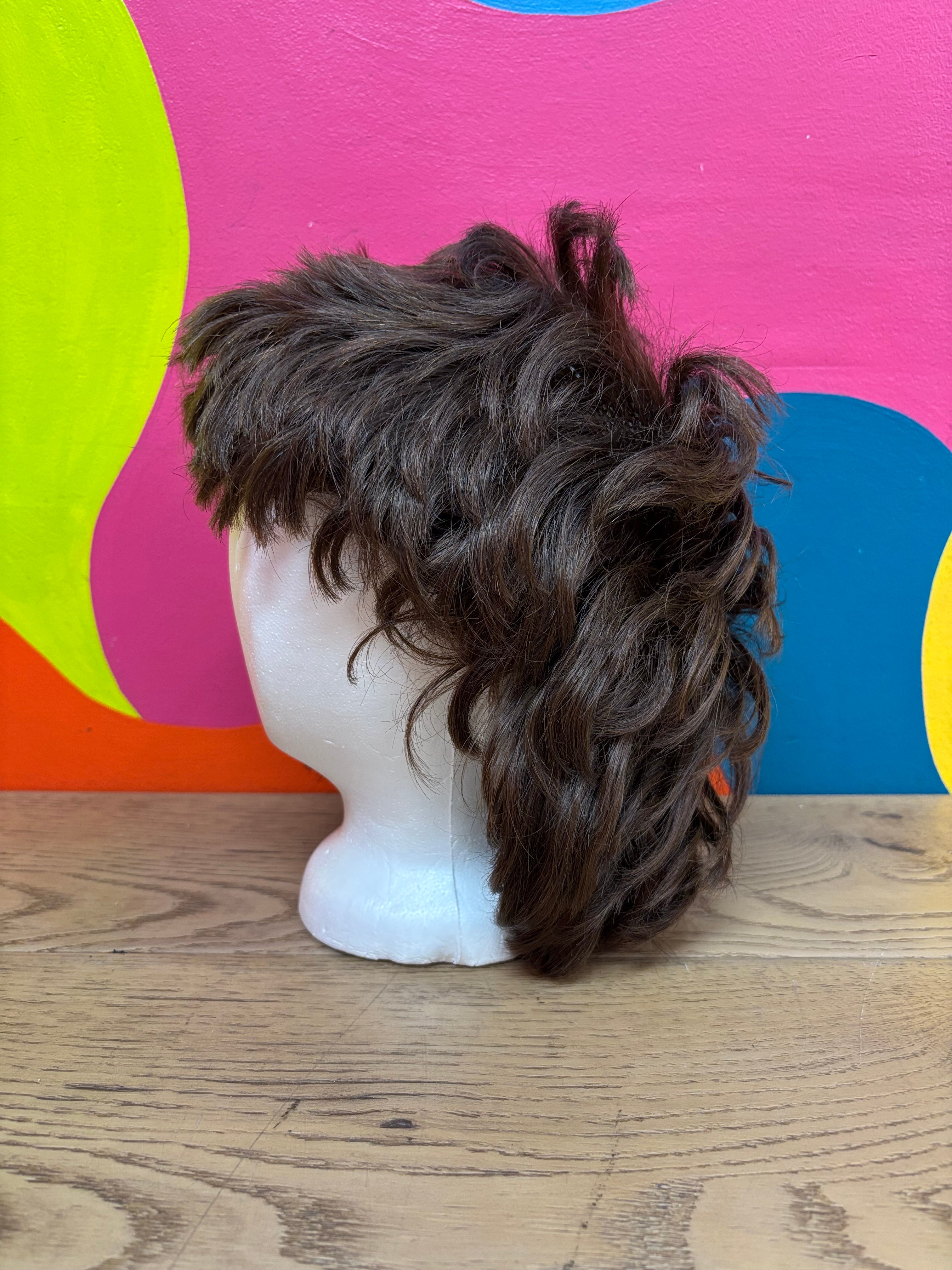 Human Hair Wig