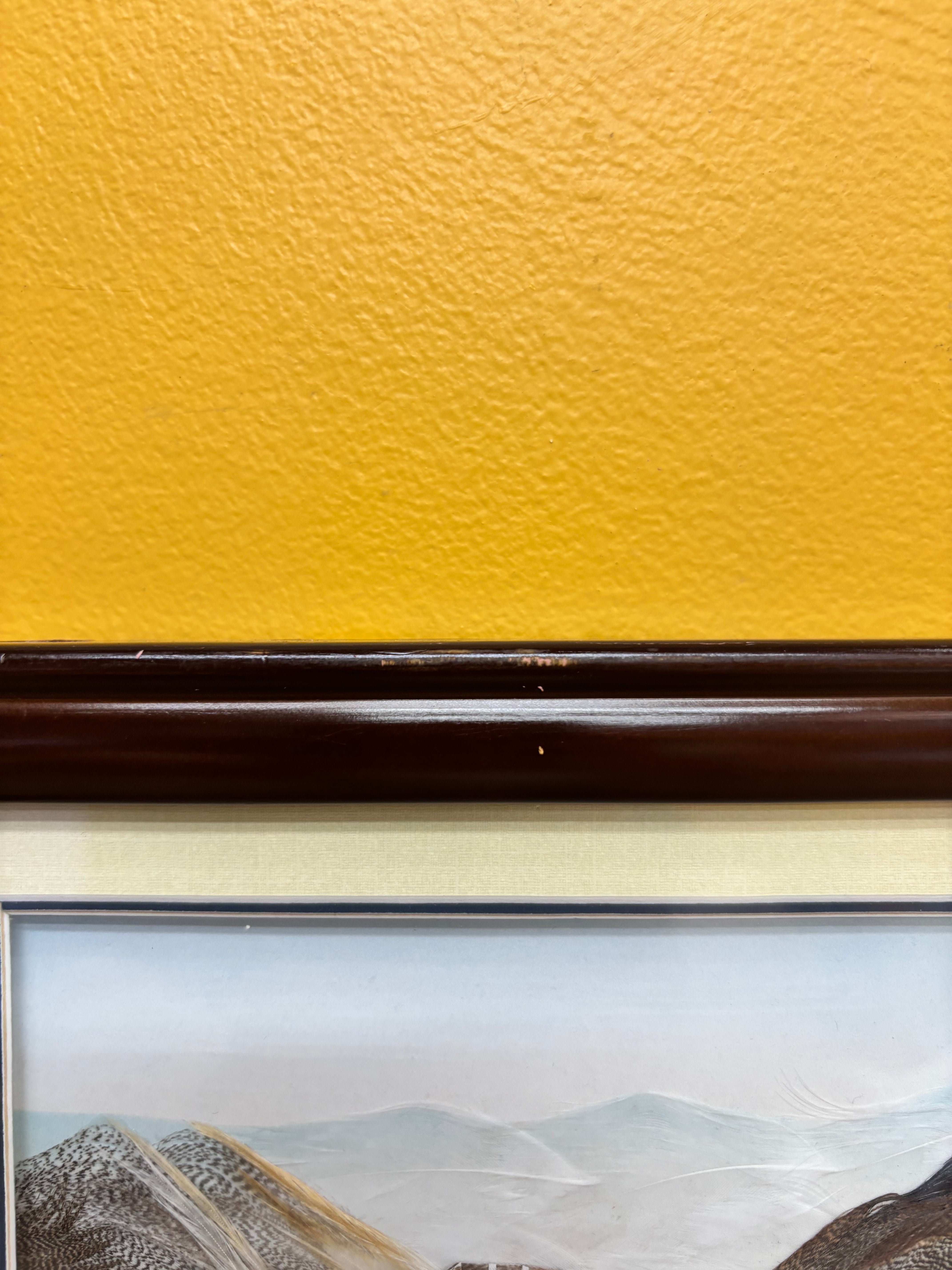 Framed Feather Artwork