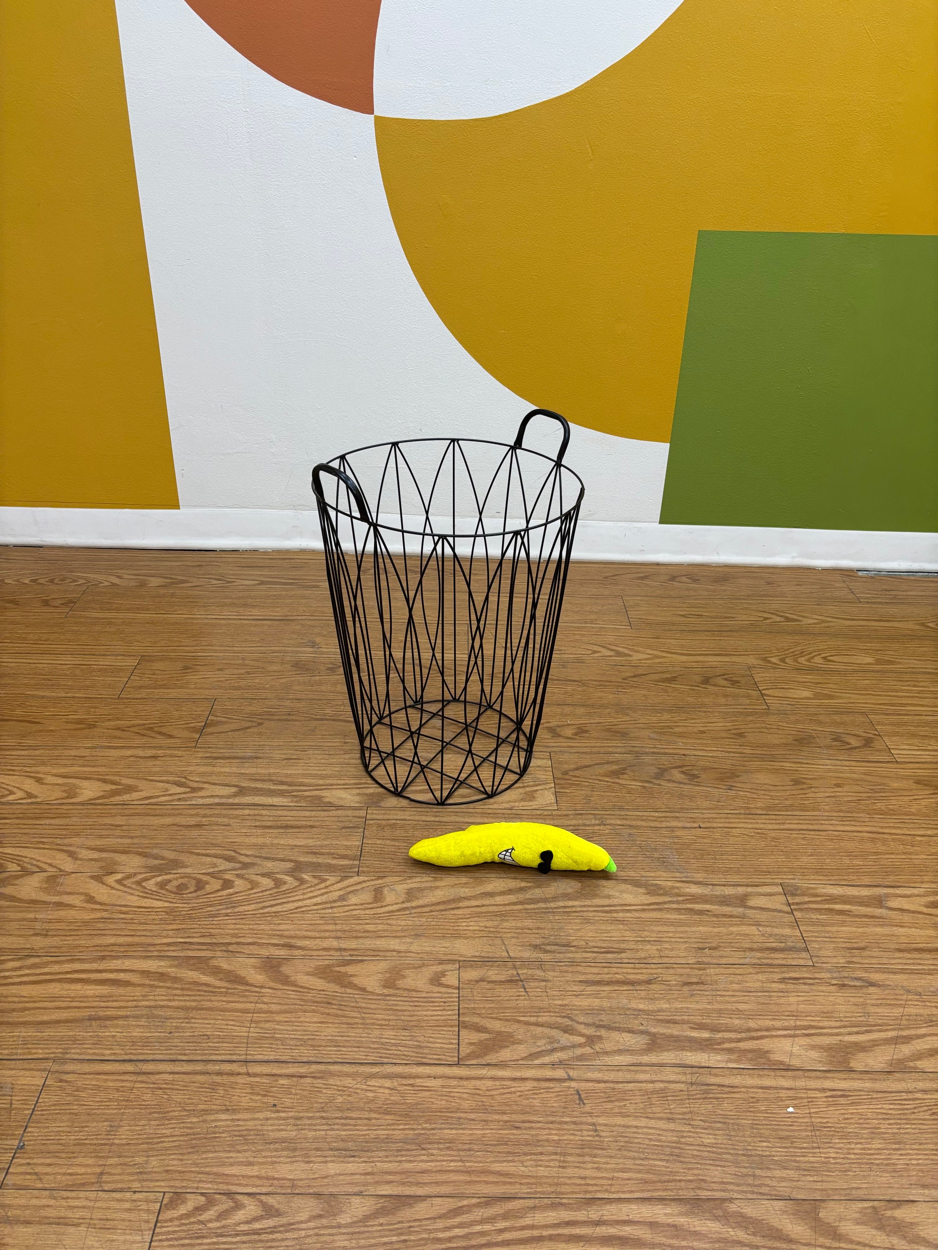 Metal Wire Basket