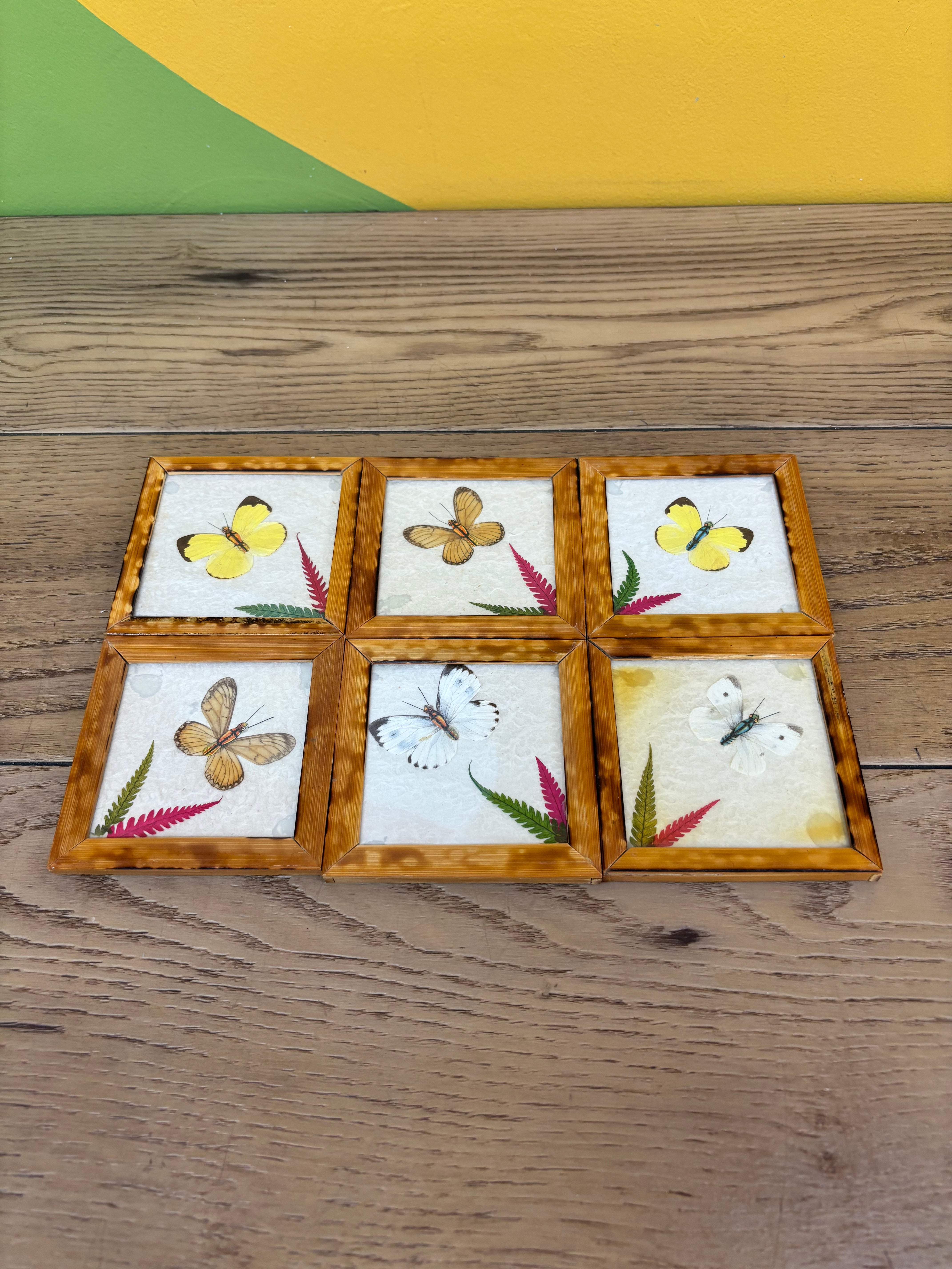 Set of Wood Butterfly Coasters