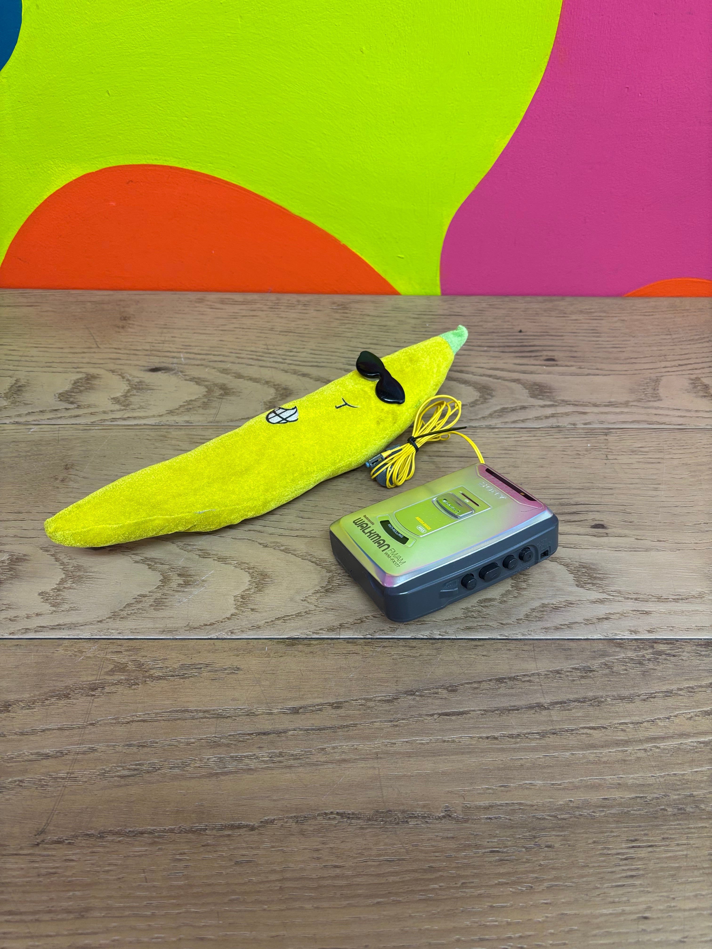 Sony Walkman Portable Walkman (WM-FX177)