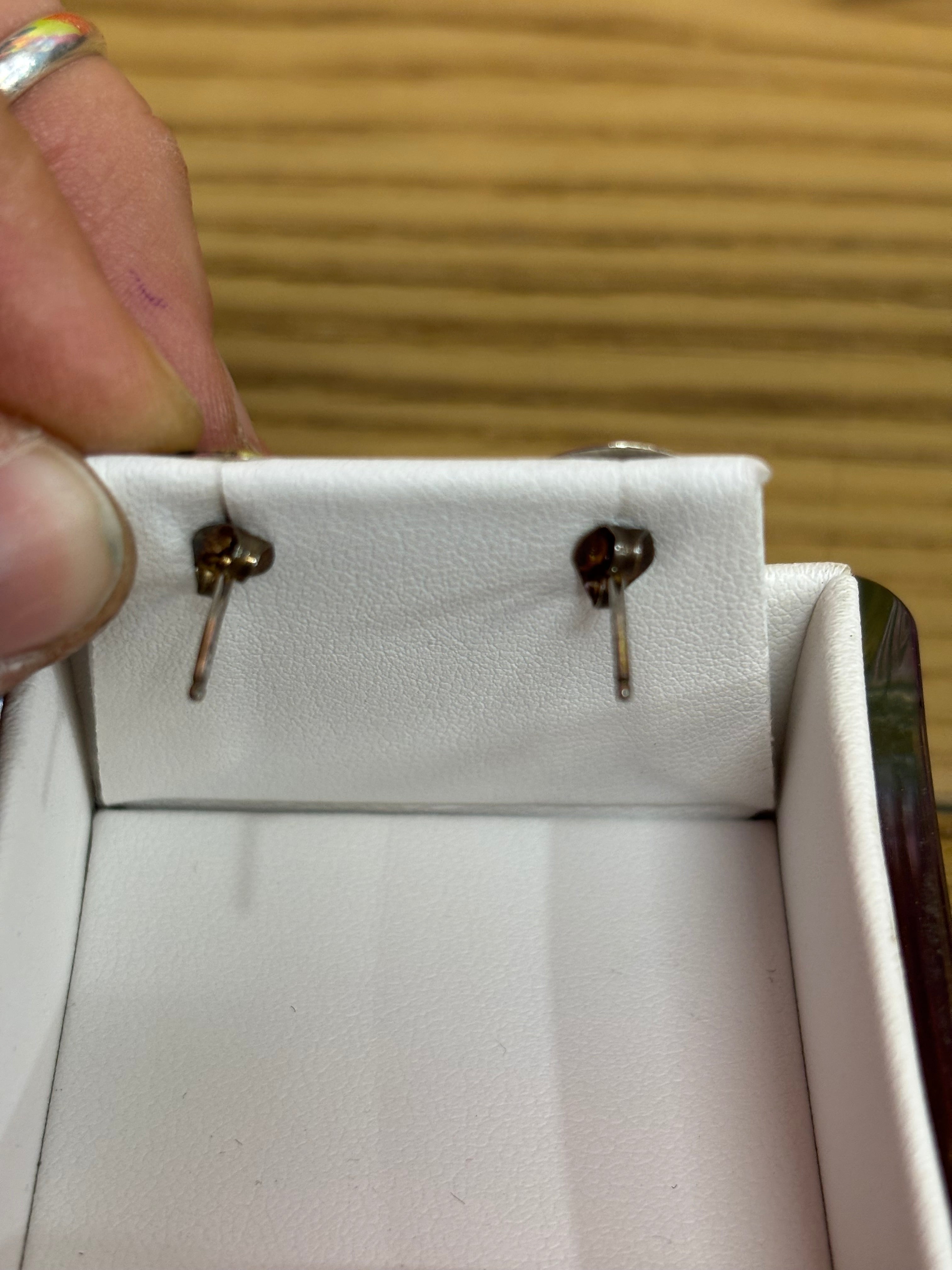 Paw Earrings with Matching Clip