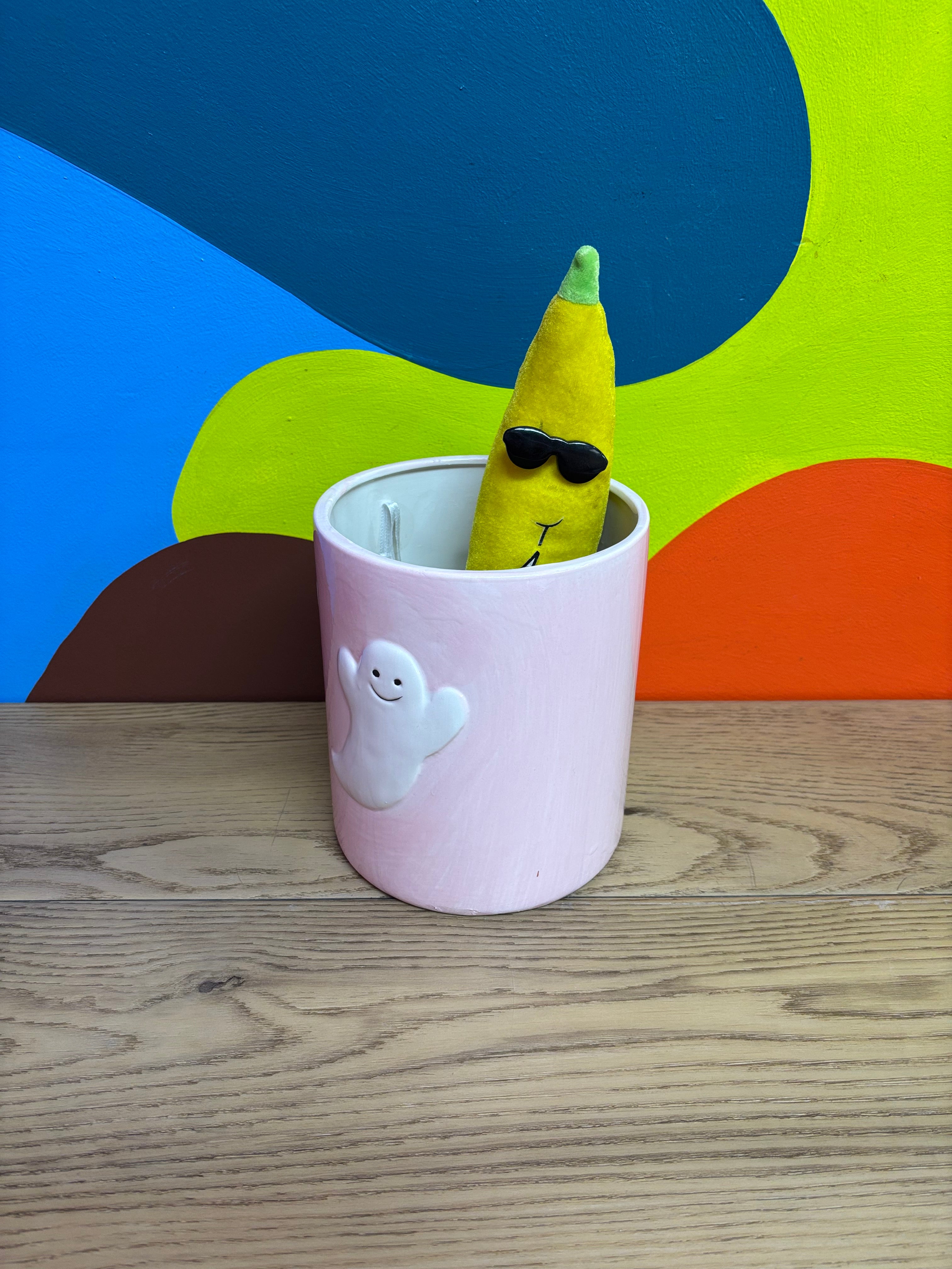 Pink Ghost Plant Pot (2 available)