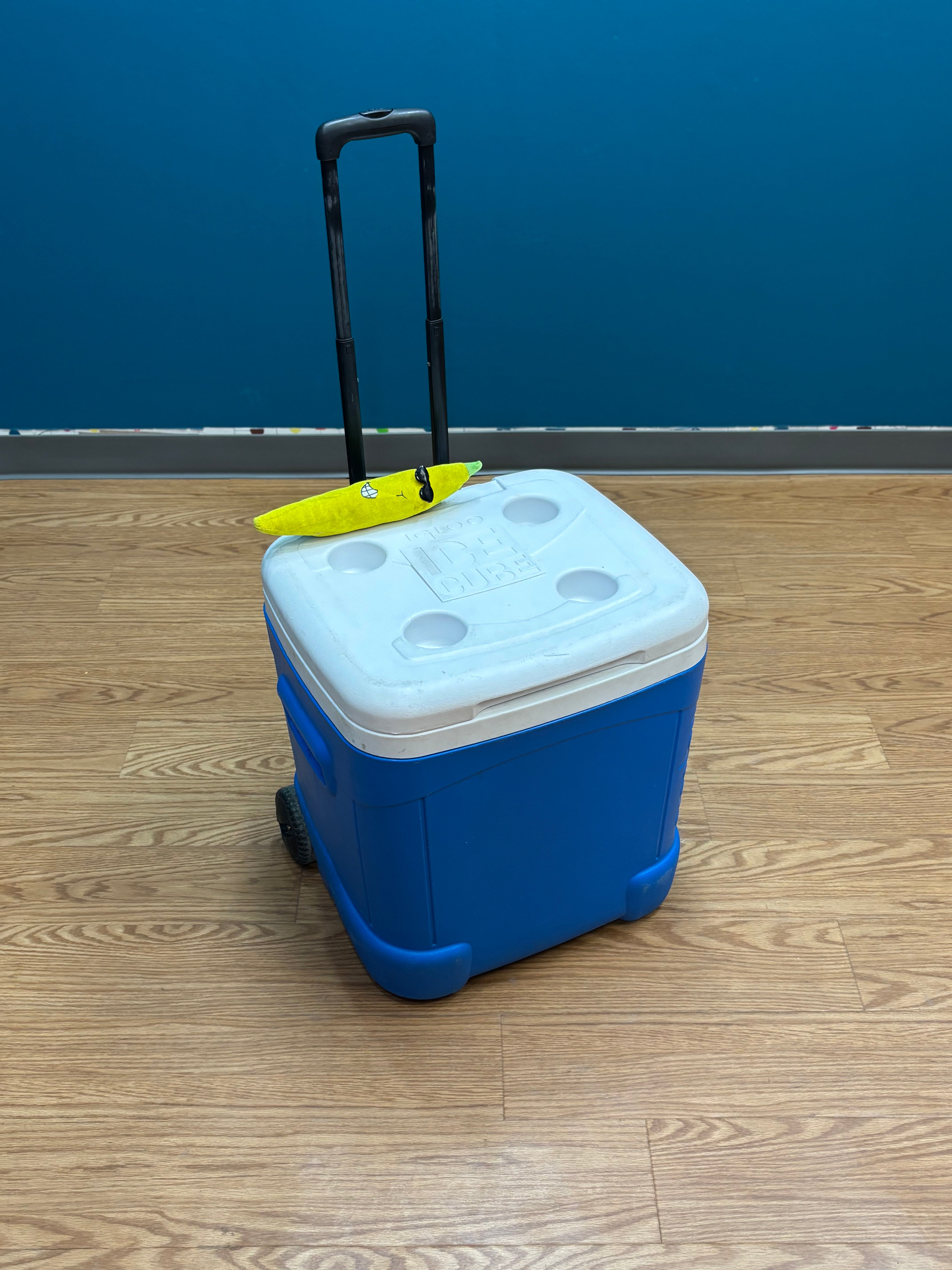 Igloo Ice Cube Roller Cooler