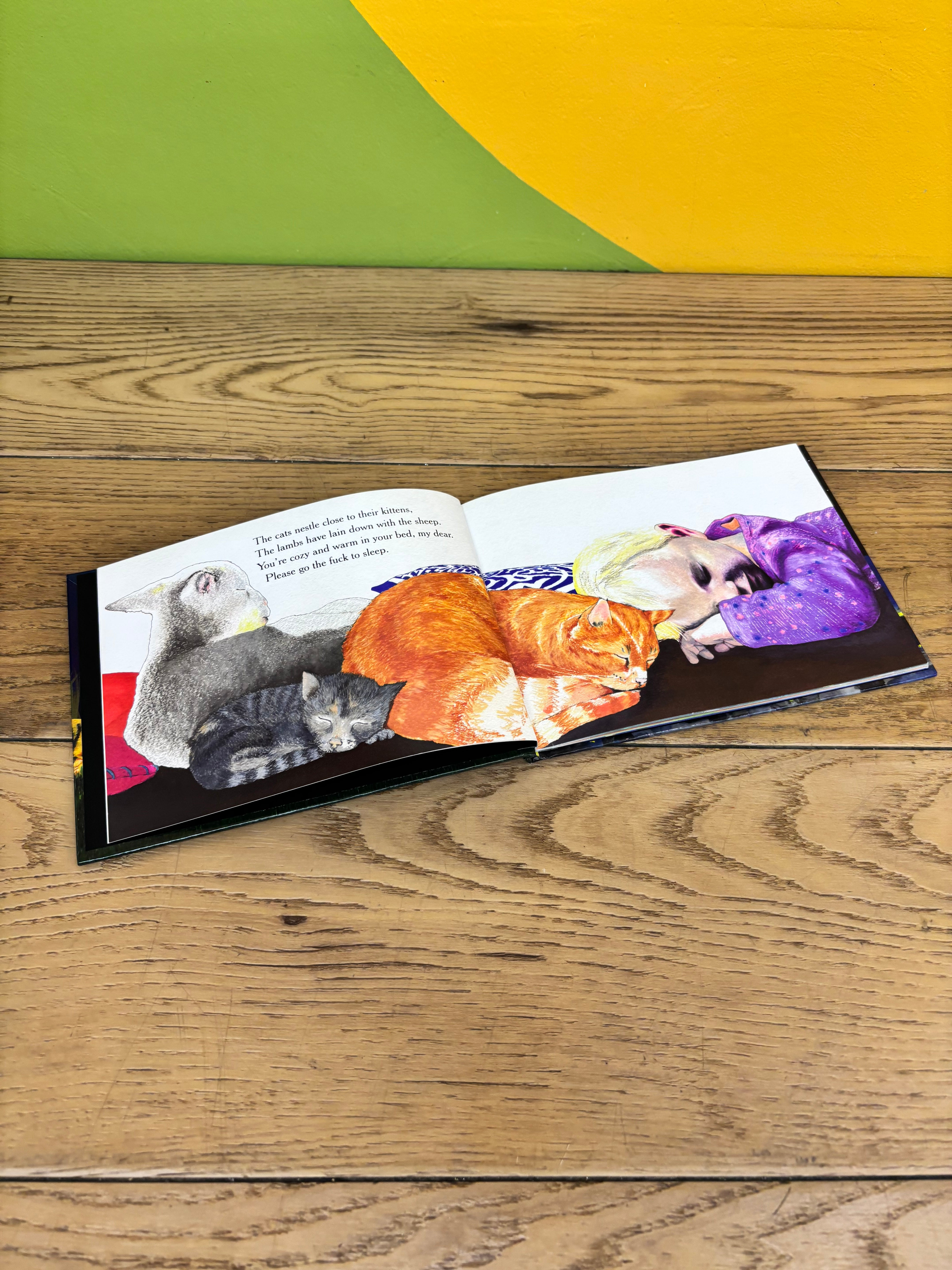 Go the F**k to Sleep Hardcover Book