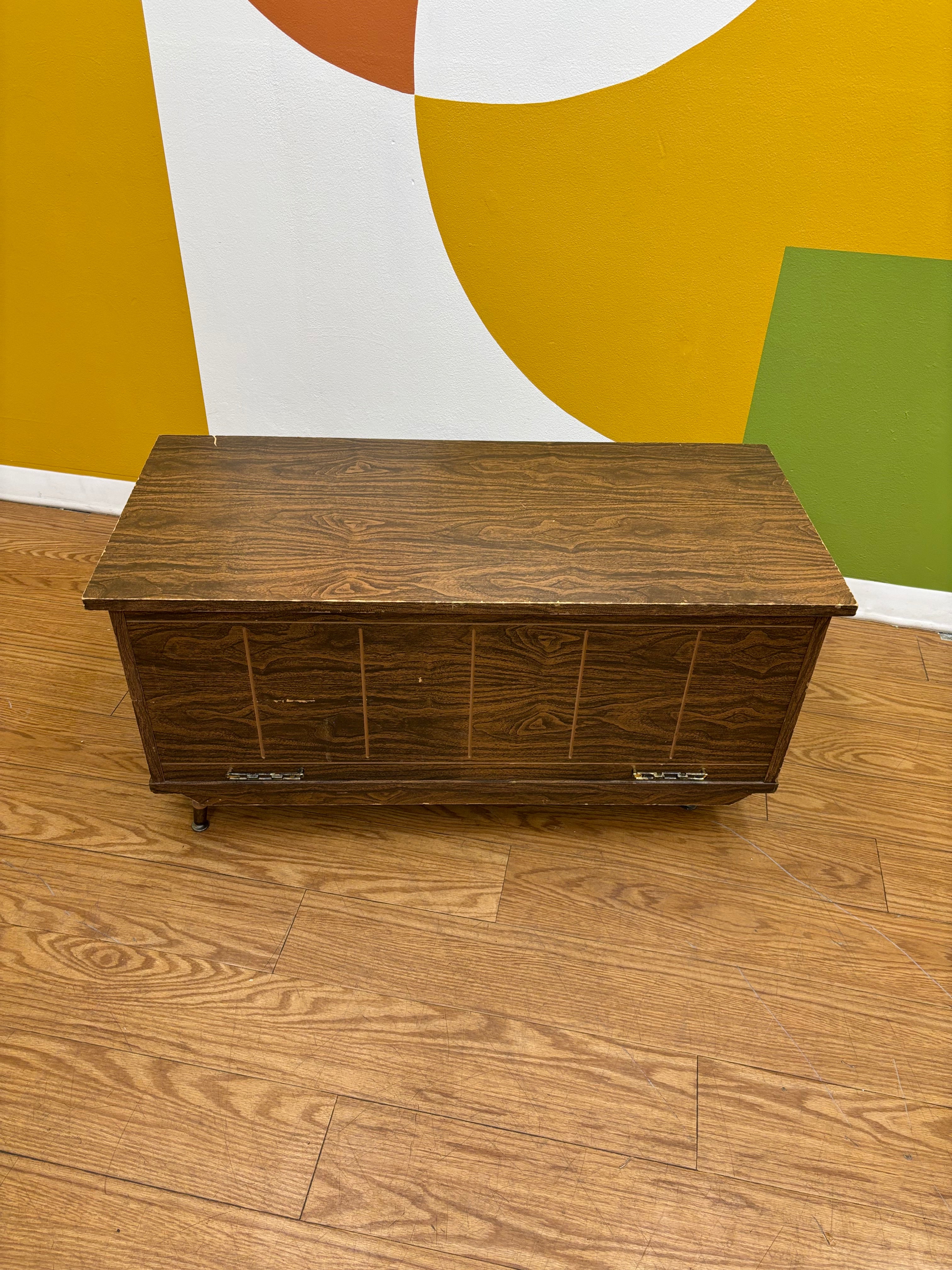 Brown Trunk