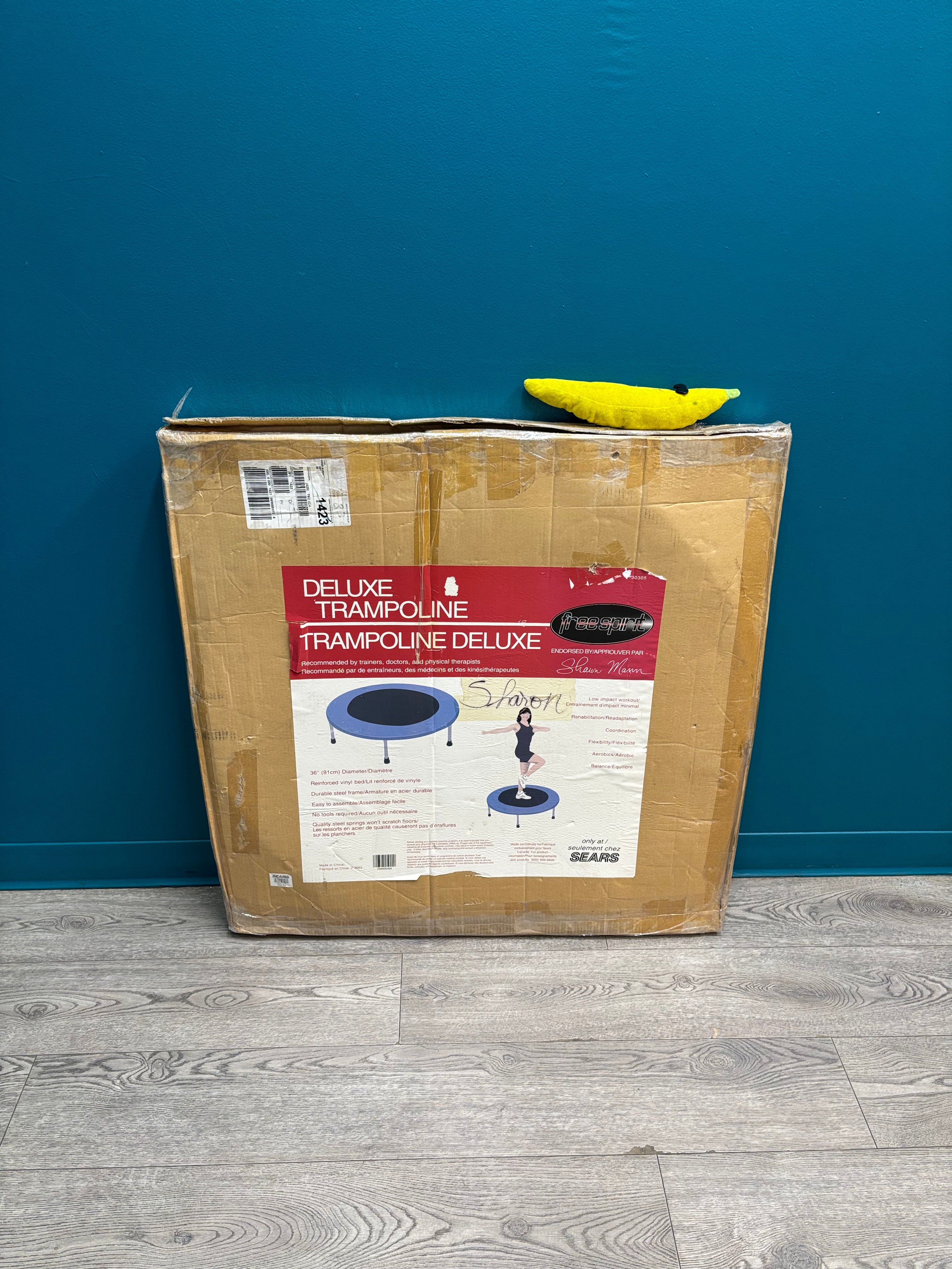 Deluxe Exercise Trampoline