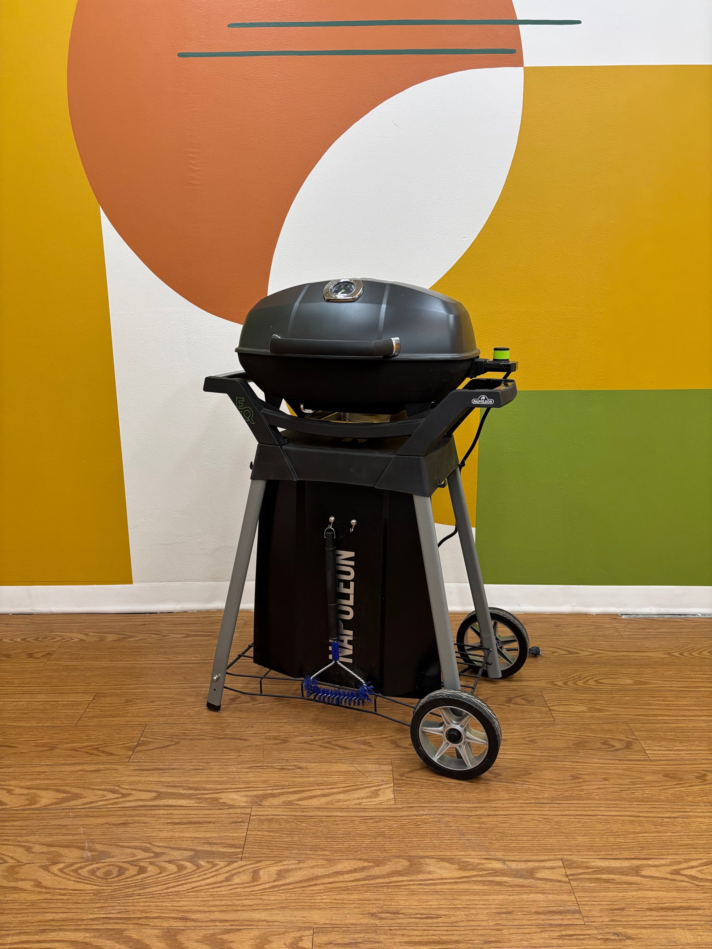 Napoleon Travel Q Portable Propane Gas Grill with Cover