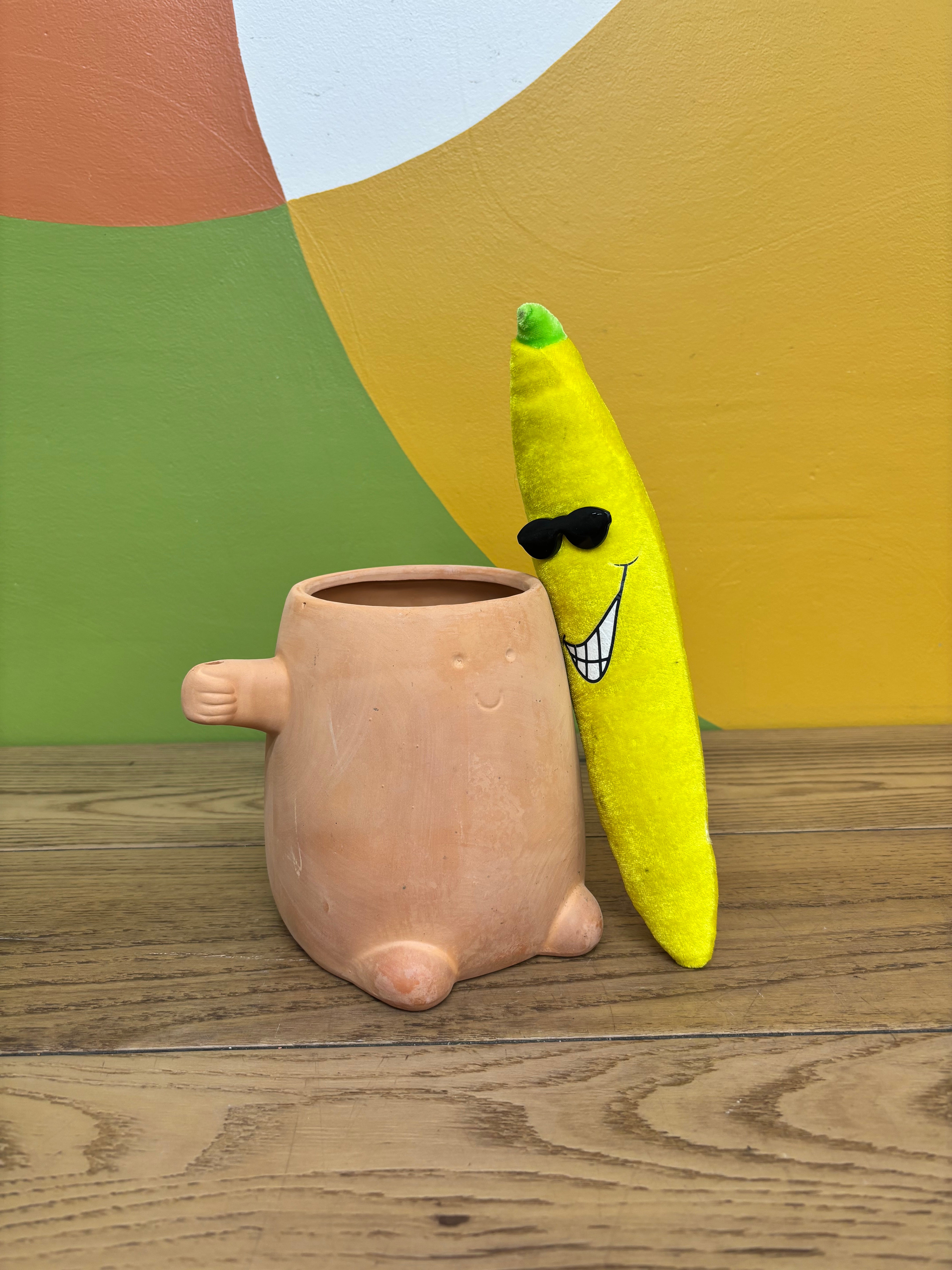 Terracotta Planter