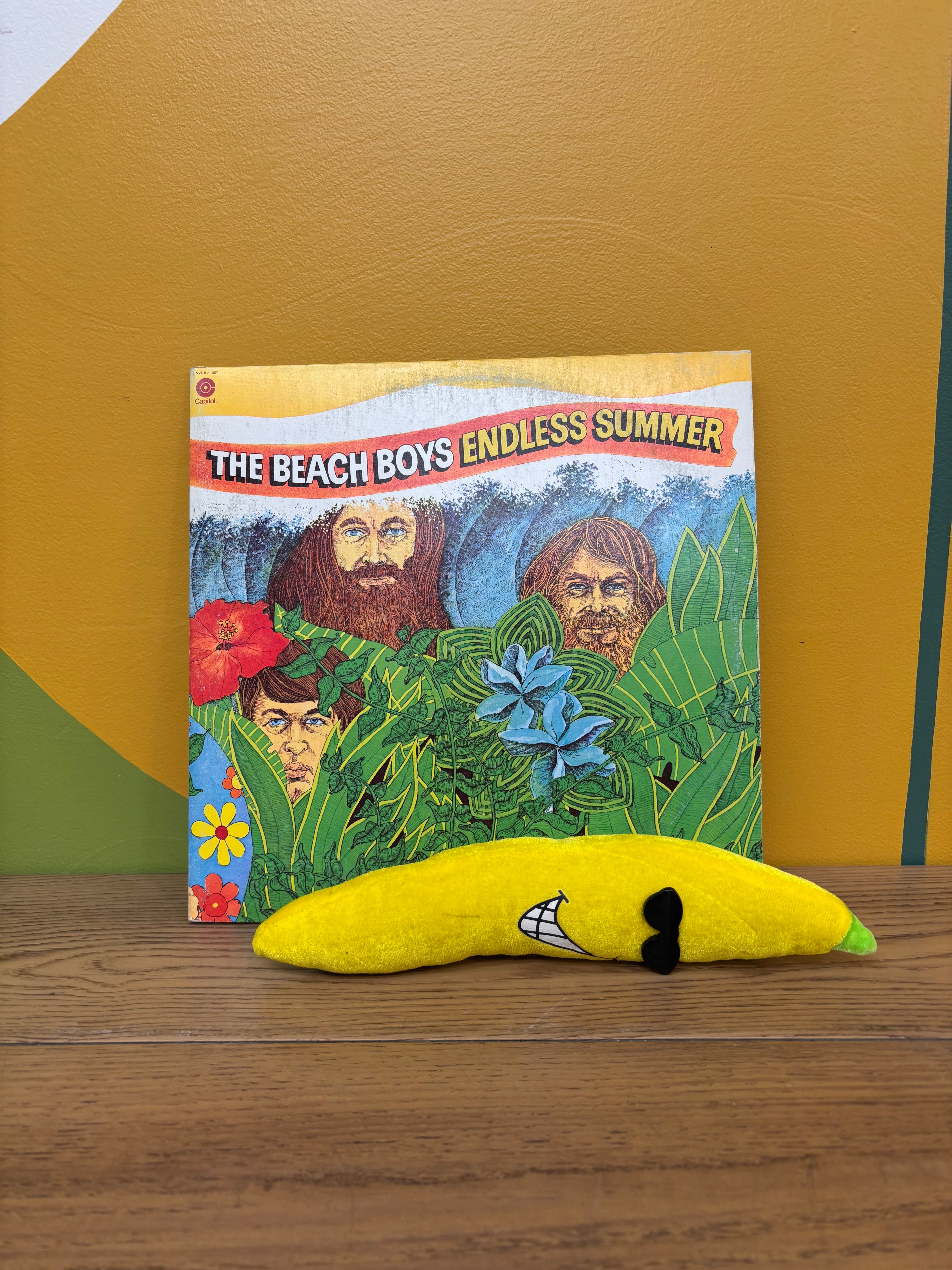 The Beach Boys "Endless Summer" Vinyl 1974 Double Album