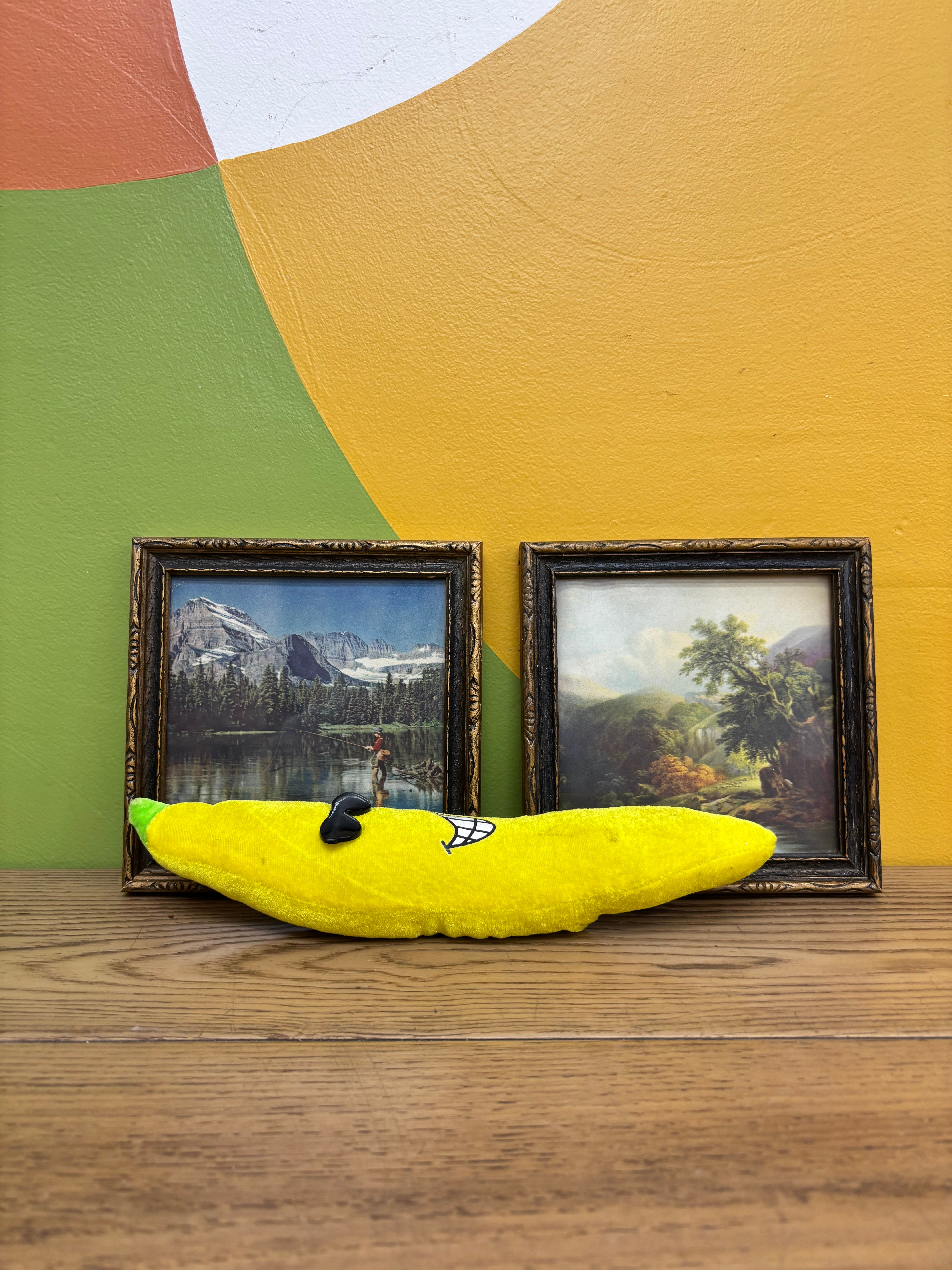 Set of 2 Framed Landscape Prints