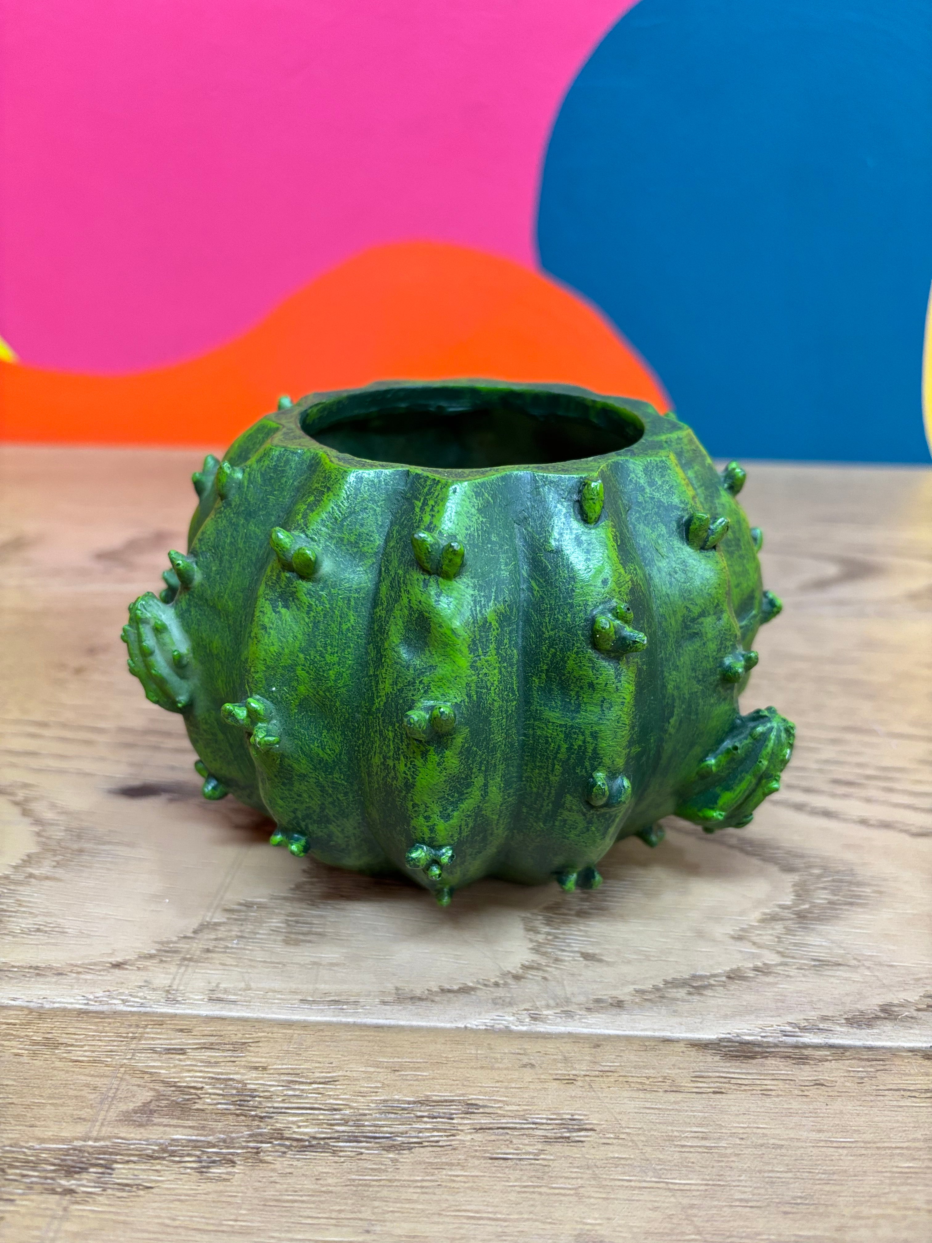 Cactus Planter