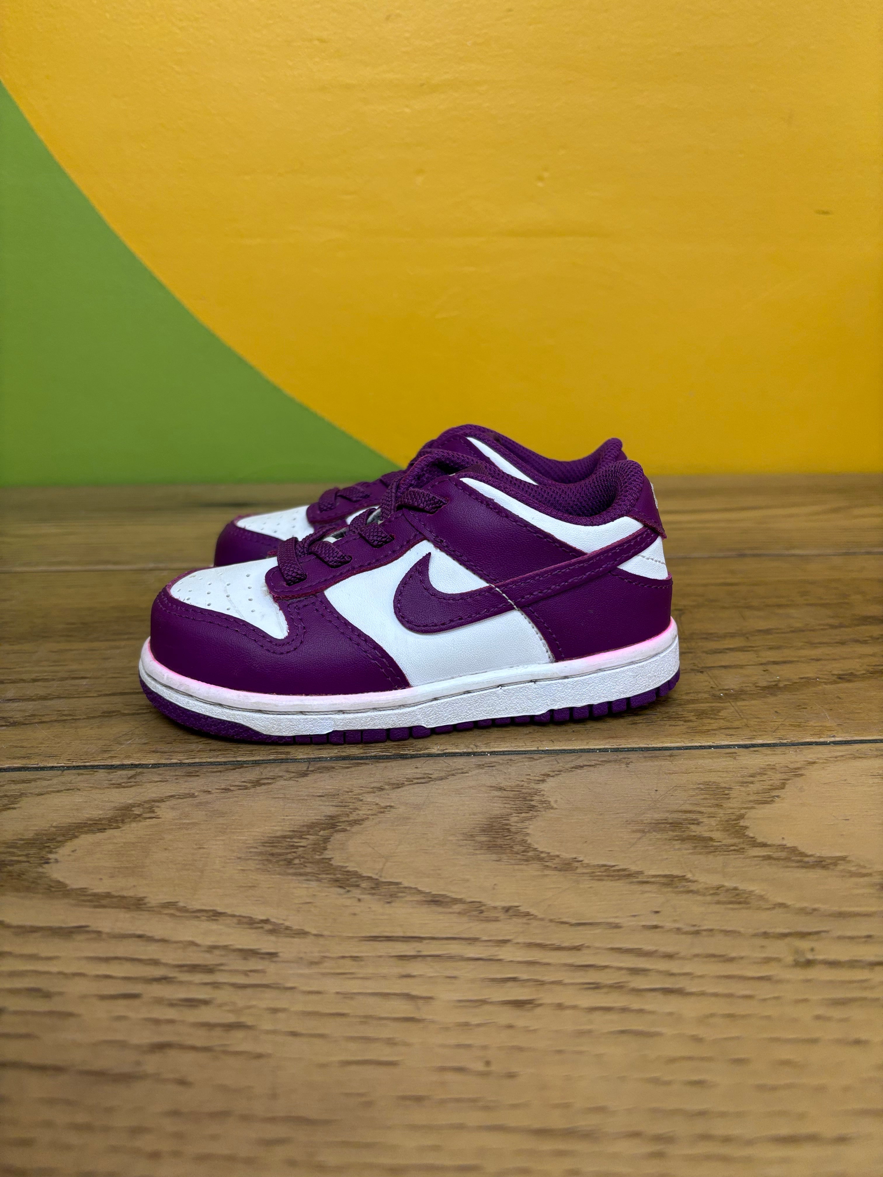 Toddler Nike Low Dunk Shoes - Size 8C