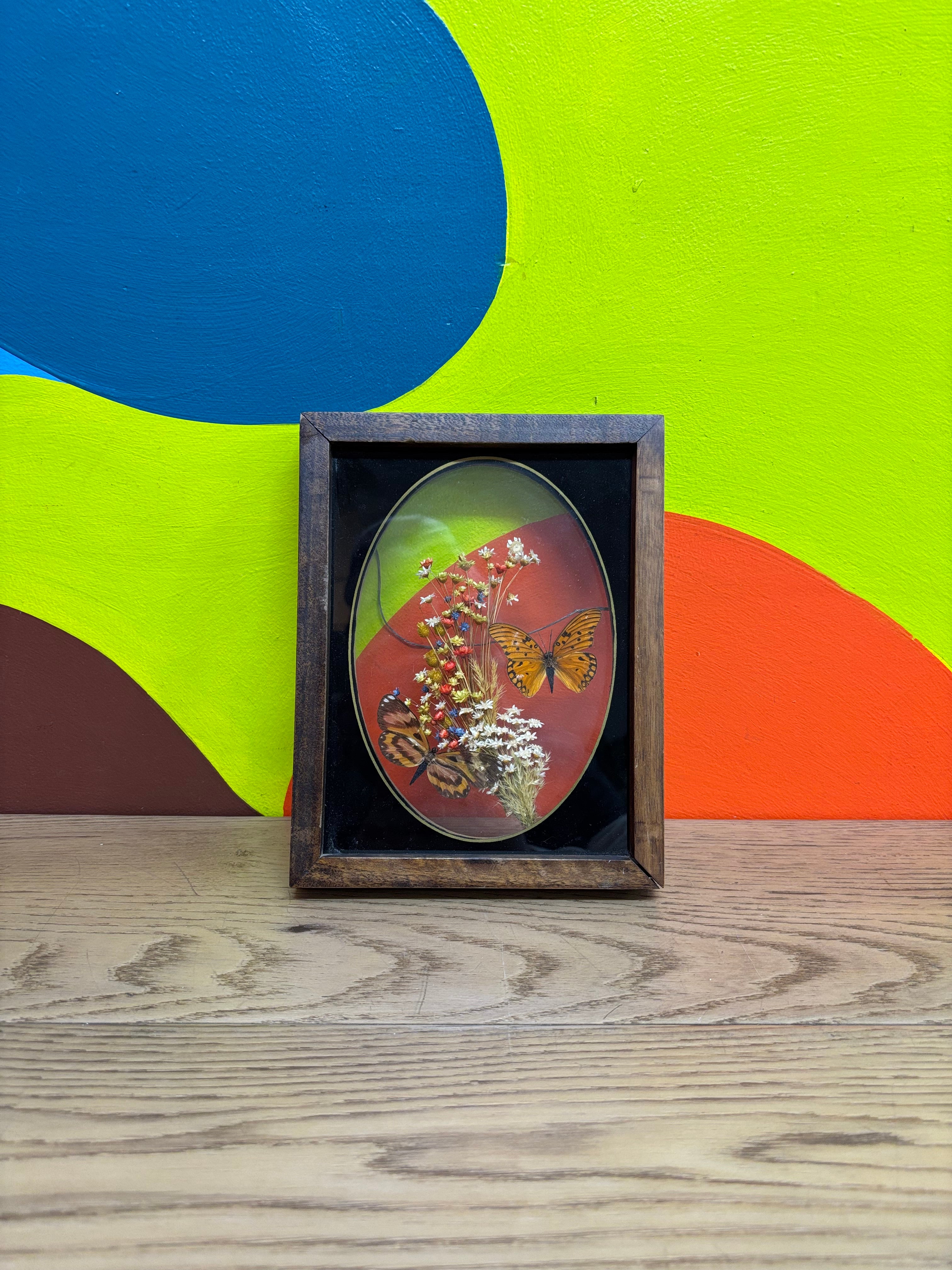 Framed Butterfly Art