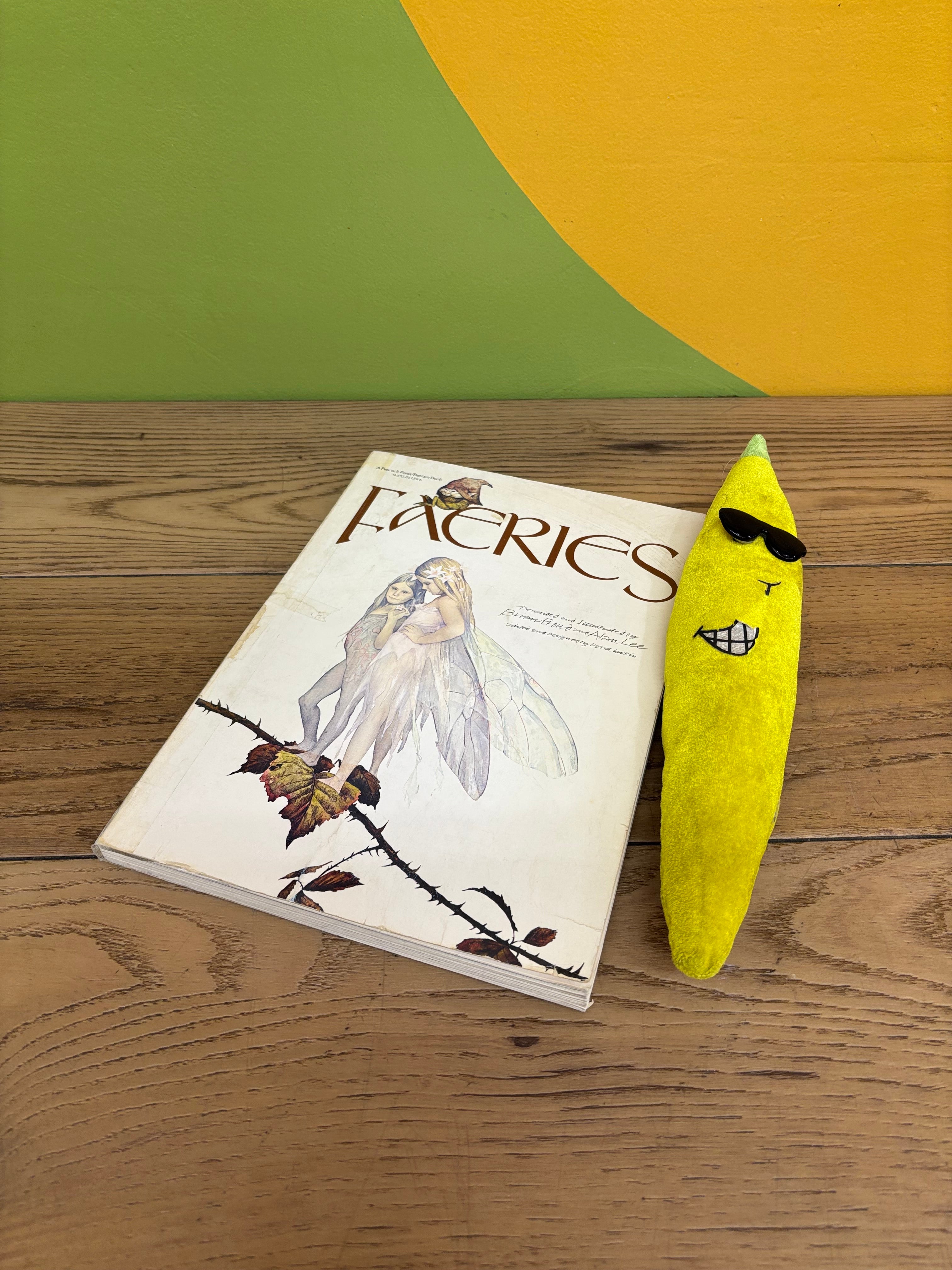 Faeries Book