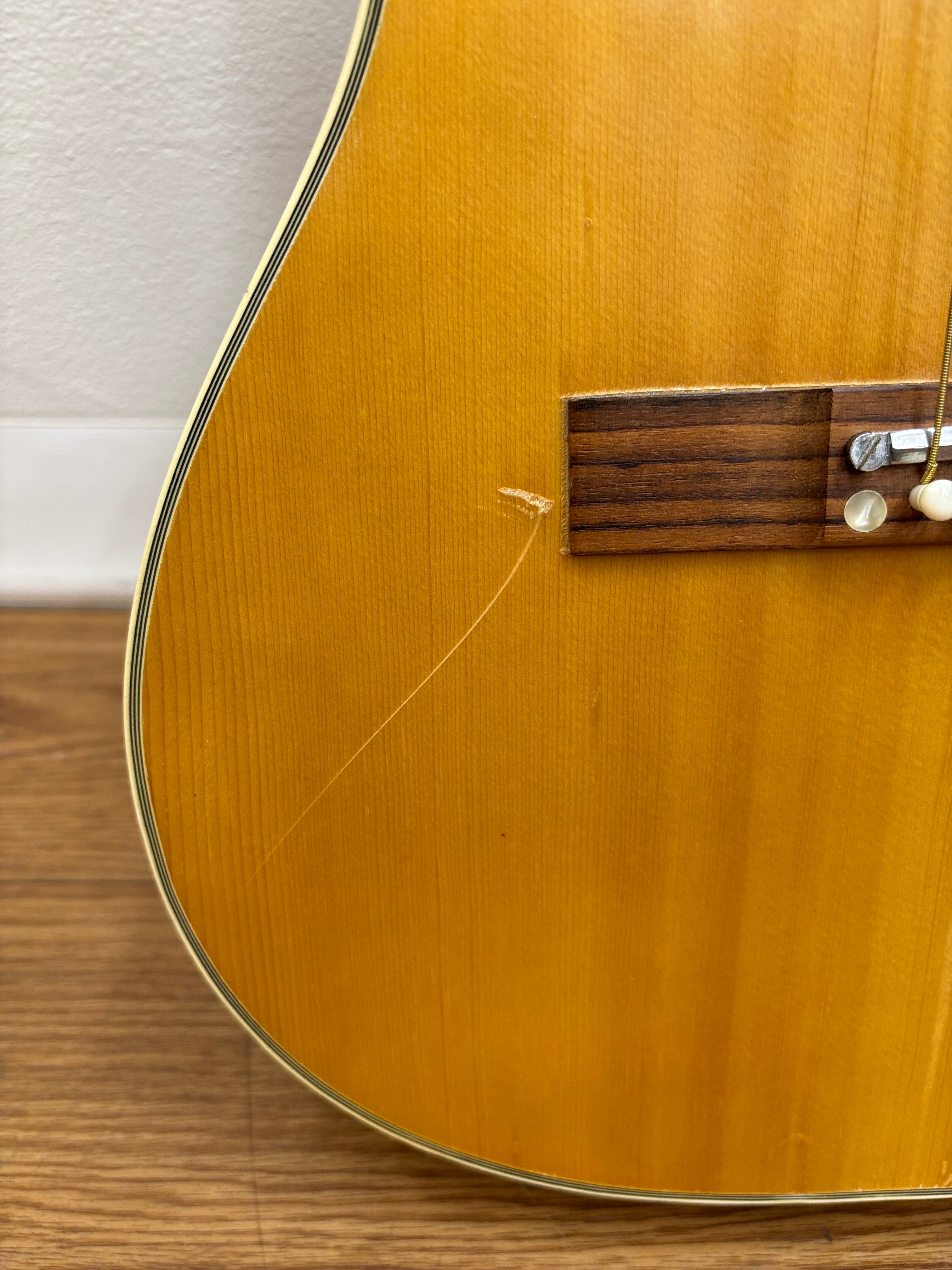 Pyramid Acoustic Guitar (Model - F742)