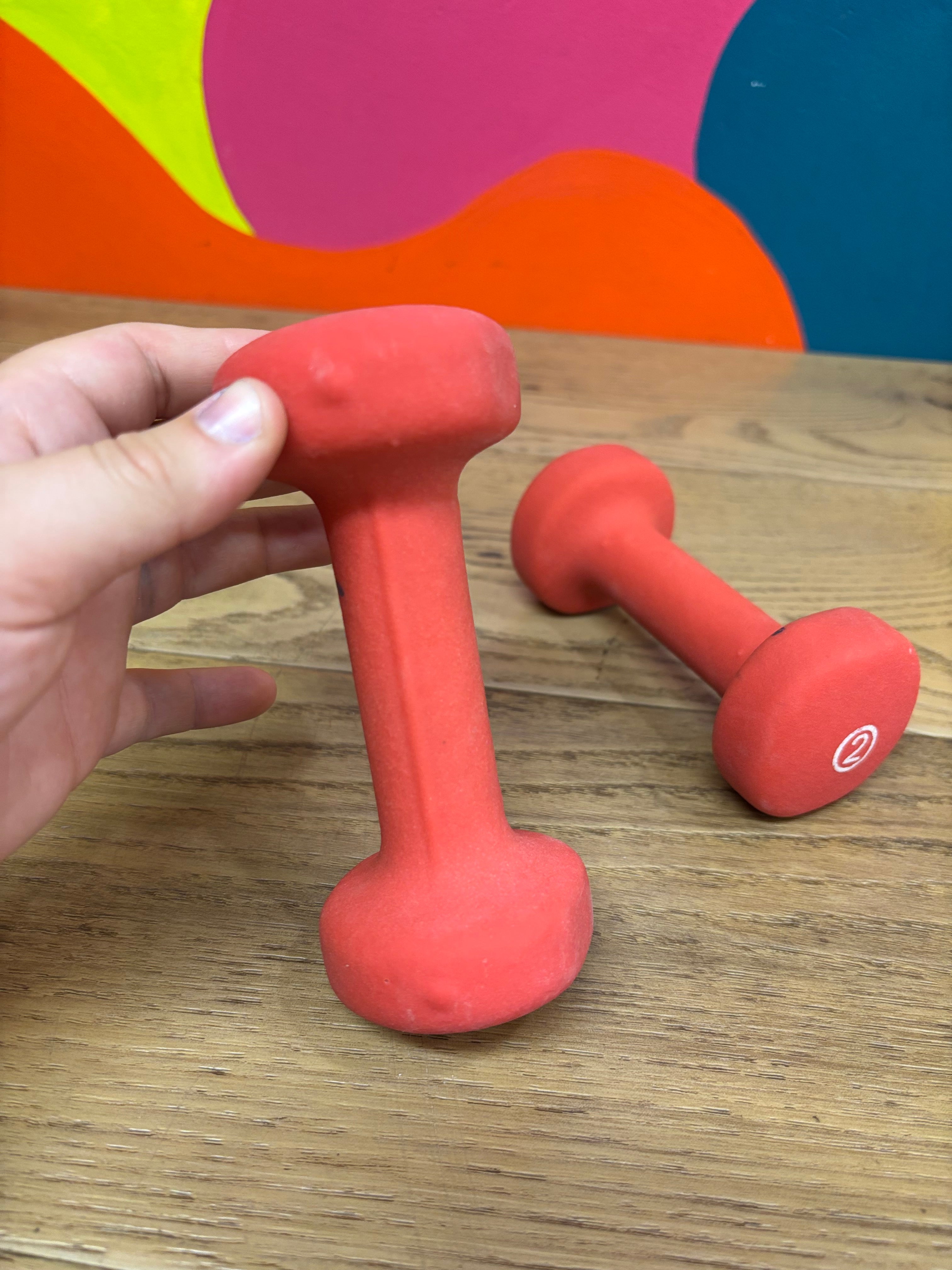 Set of 2 Pound Weights
