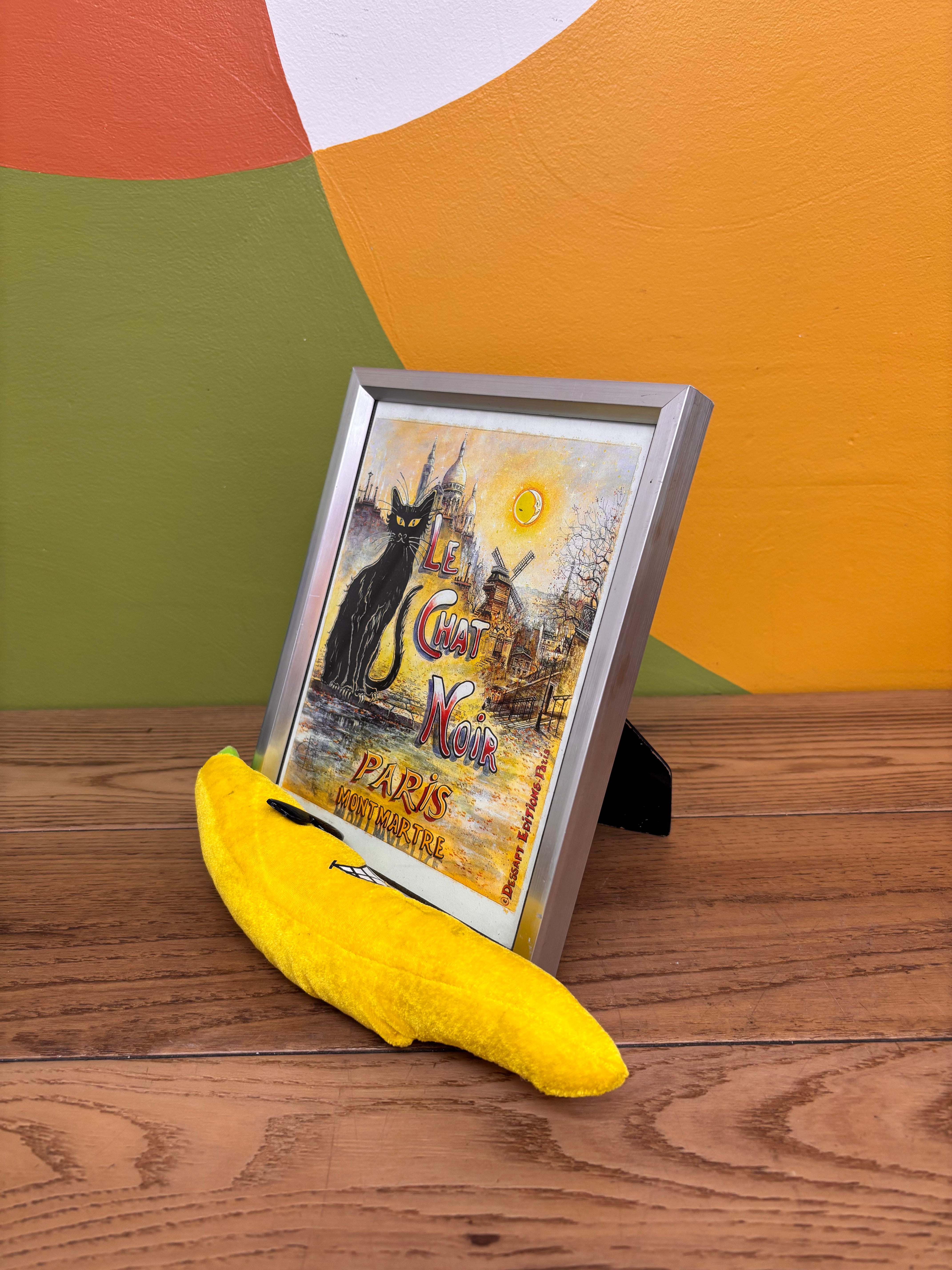 Framed Cat Print
