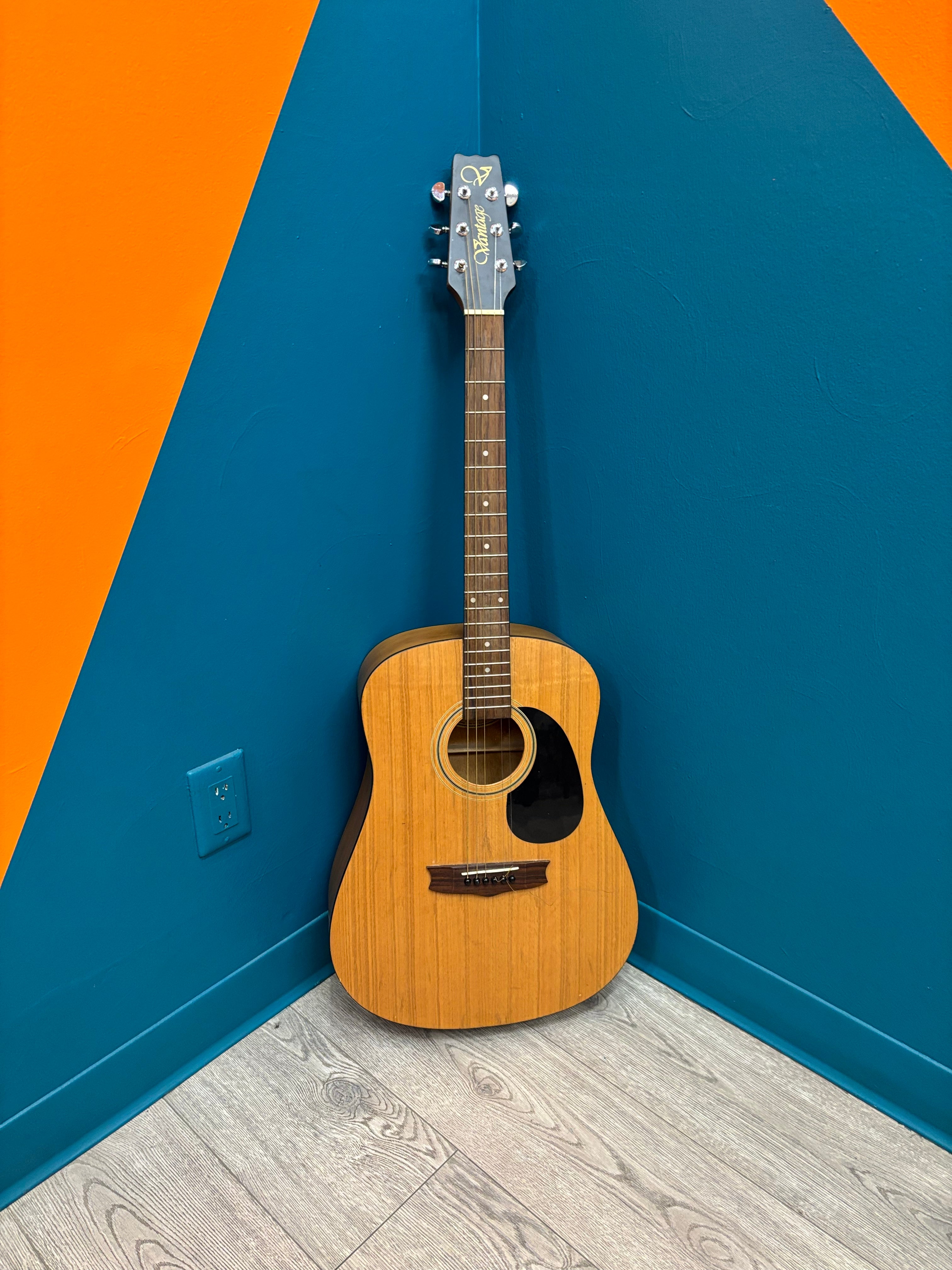 Vantage VIS-1 Acoustic Guitar