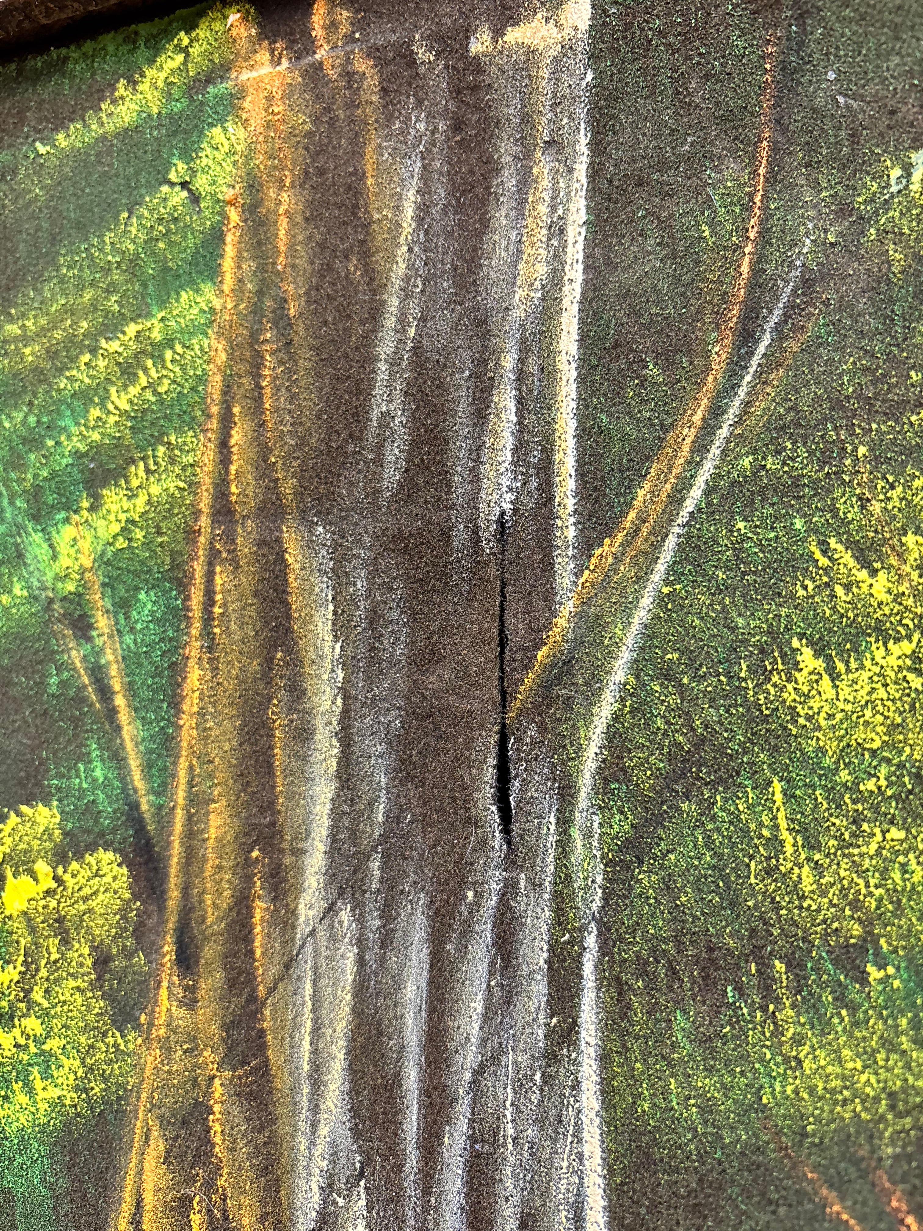Large Framed Velvet Painting