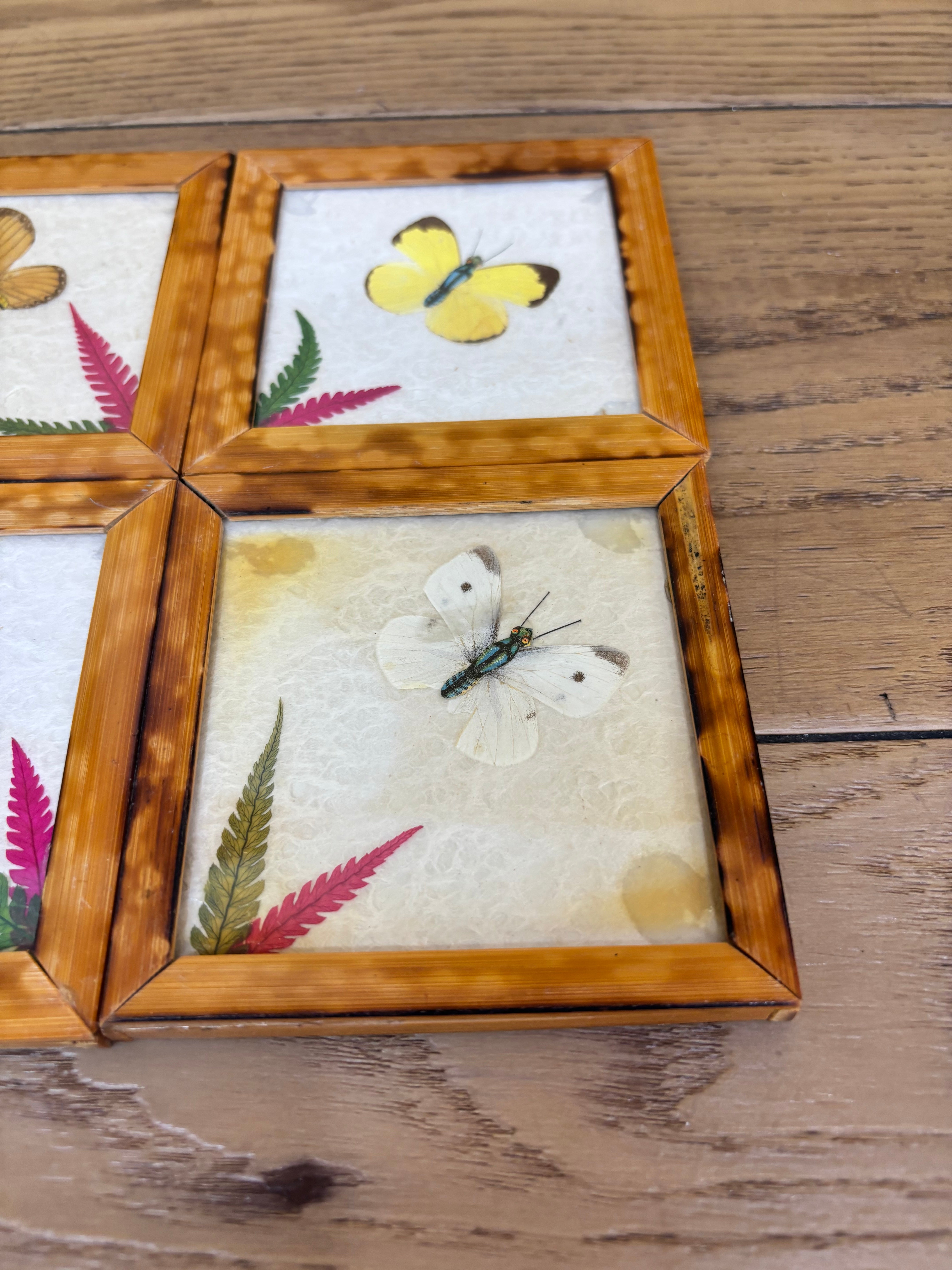 Set of Wood Butterfly Coasters